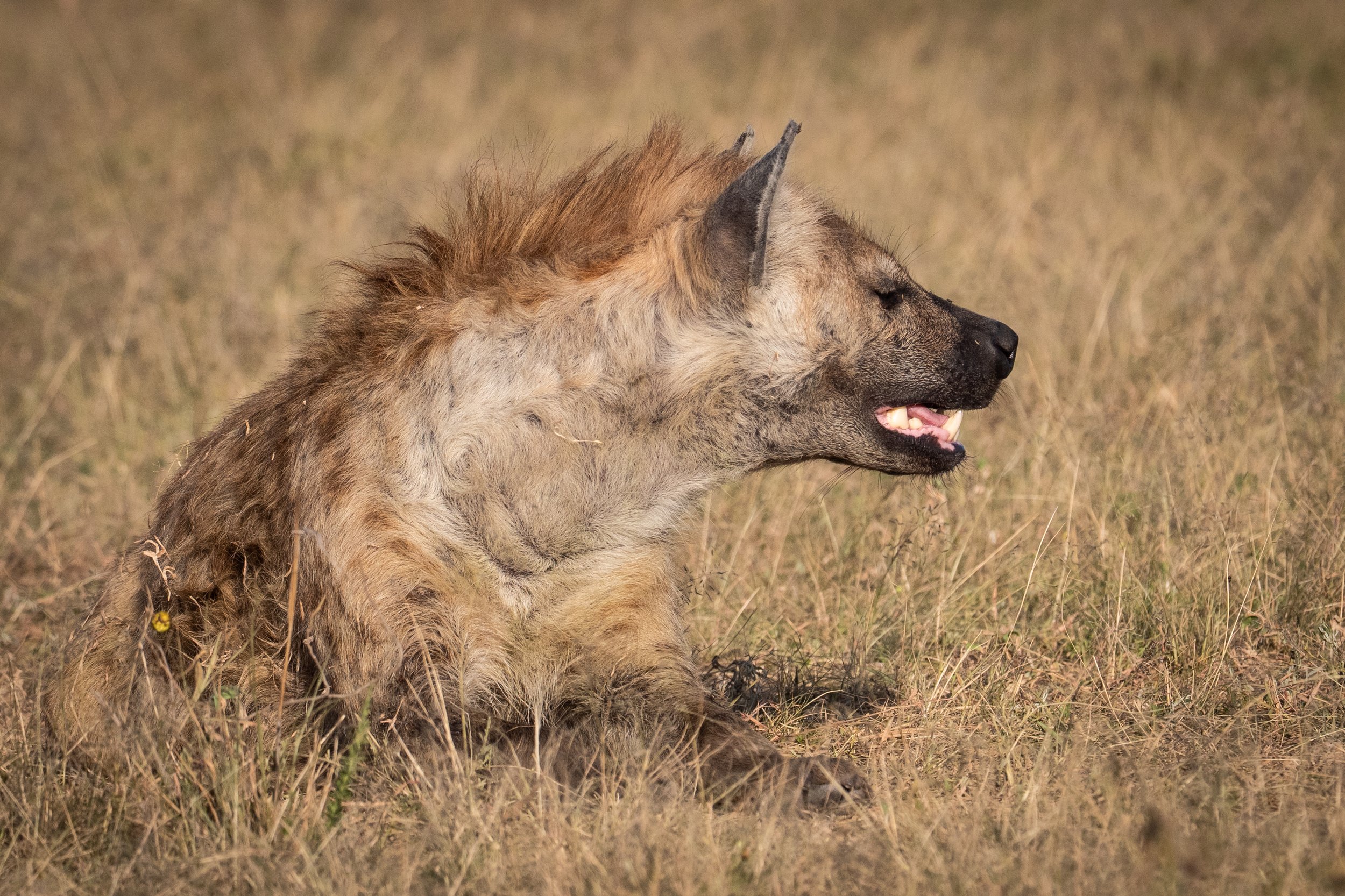 untitled (375 of 6546).jpg