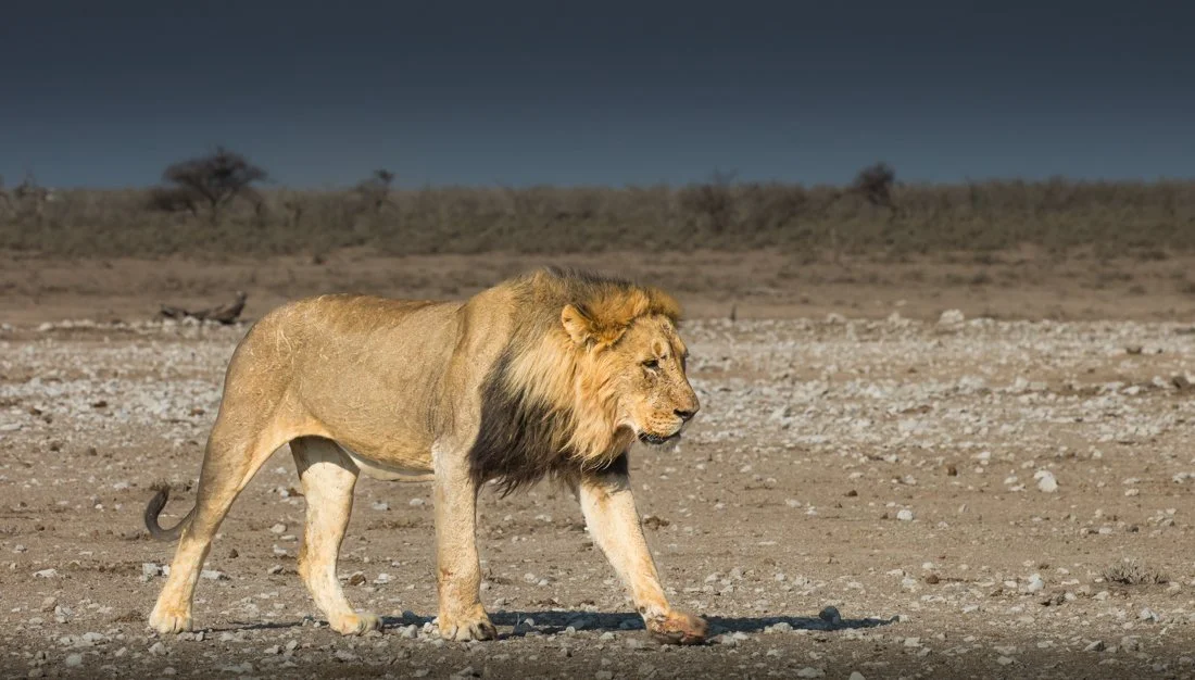 Namibia 18 (1387 of 2184).jpg