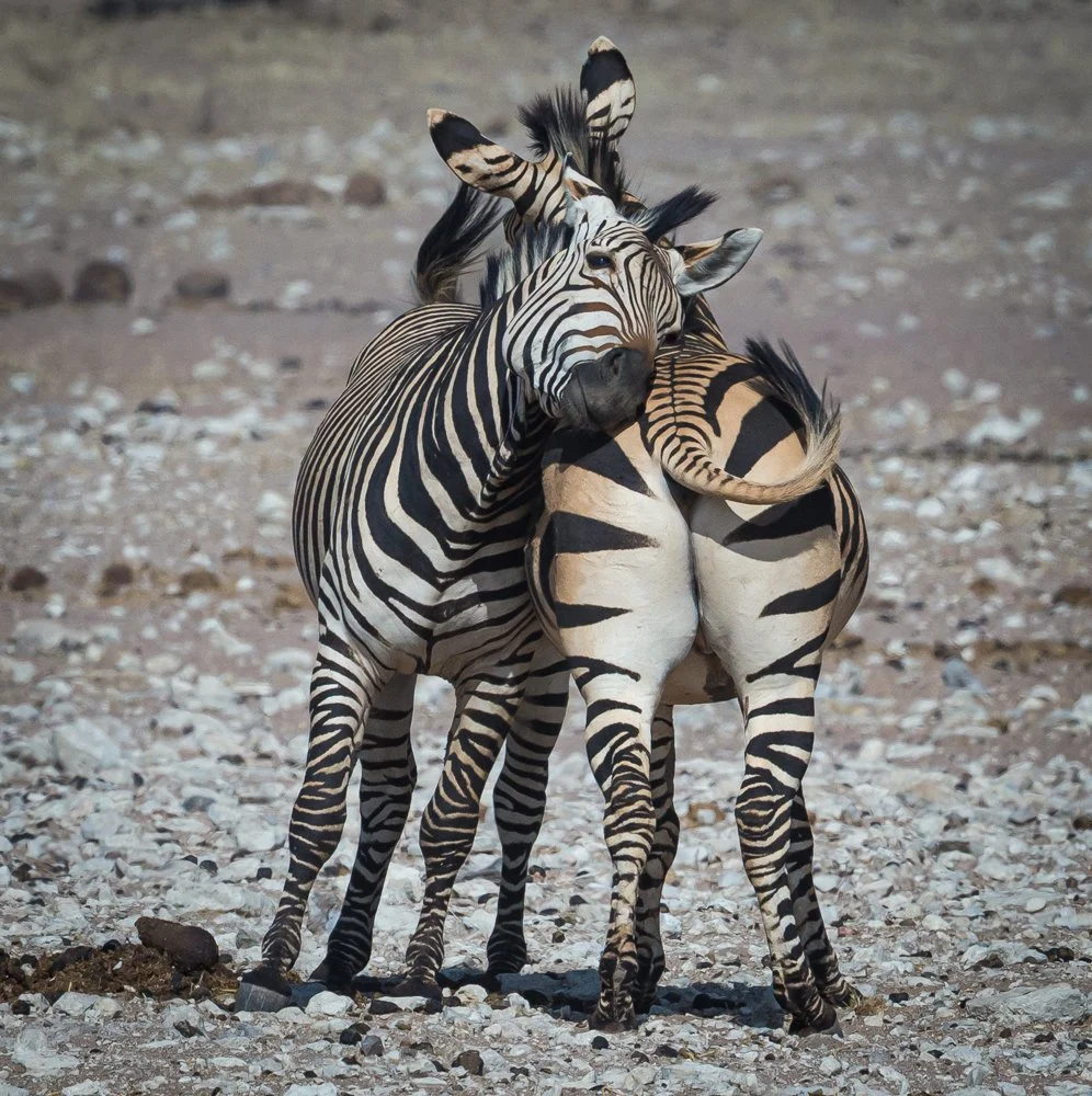 Namibia 17 (159 of 879).jpg