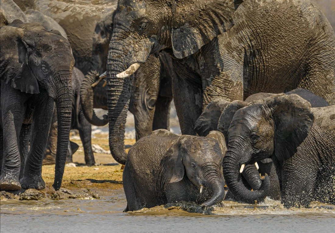 Namibia 19 (425 of 534)-C3-Edit4-Edit.jpg