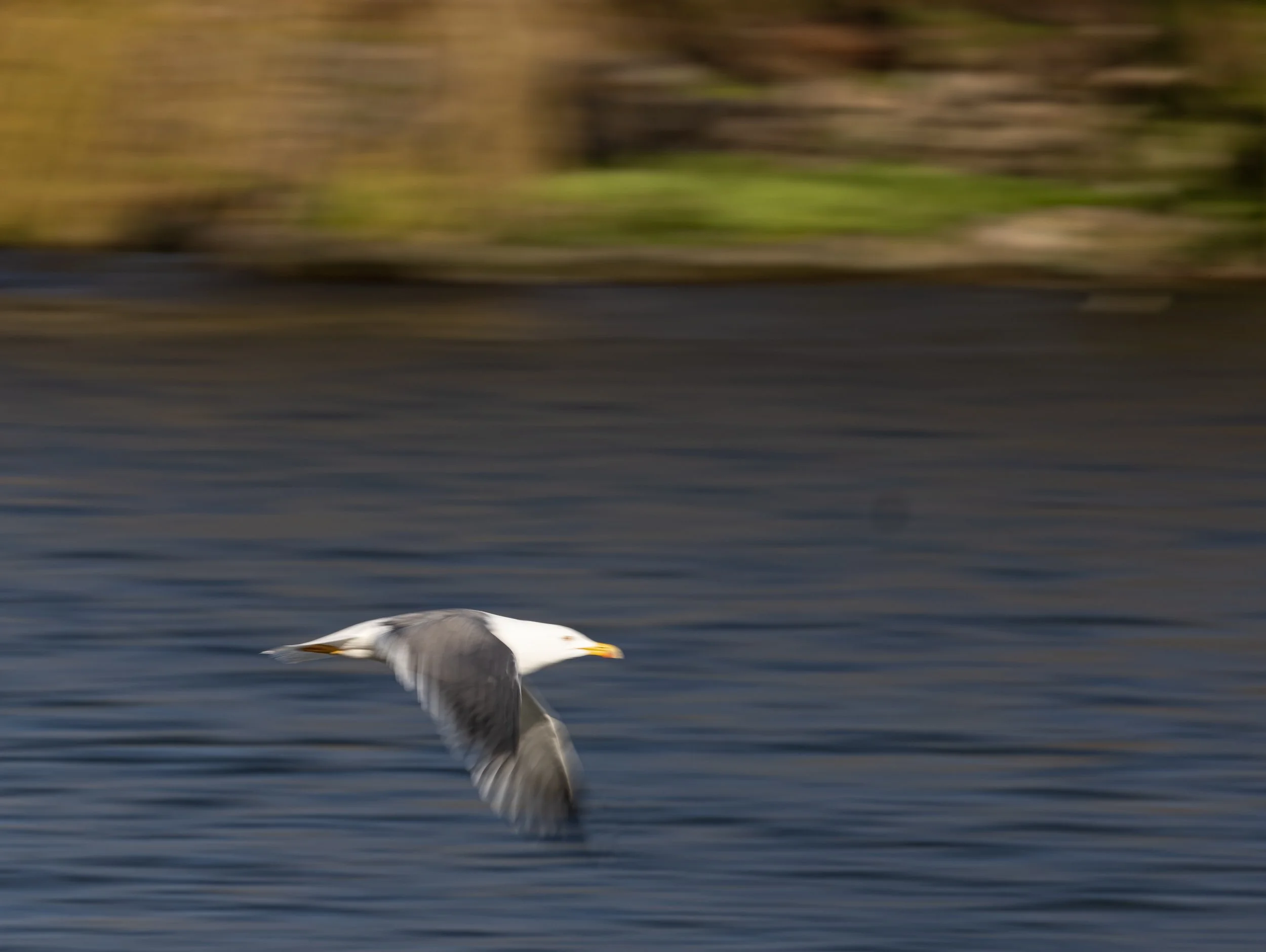 untitled (307 of 791)-Edit2-Edit.jpg