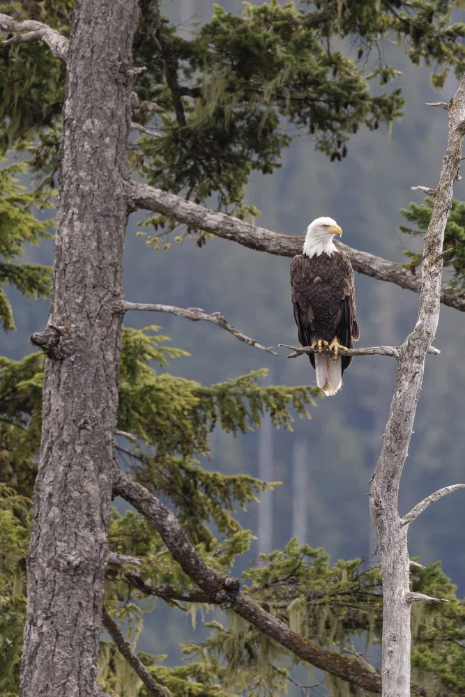 untitled (651 of 870)-CR3.jpg