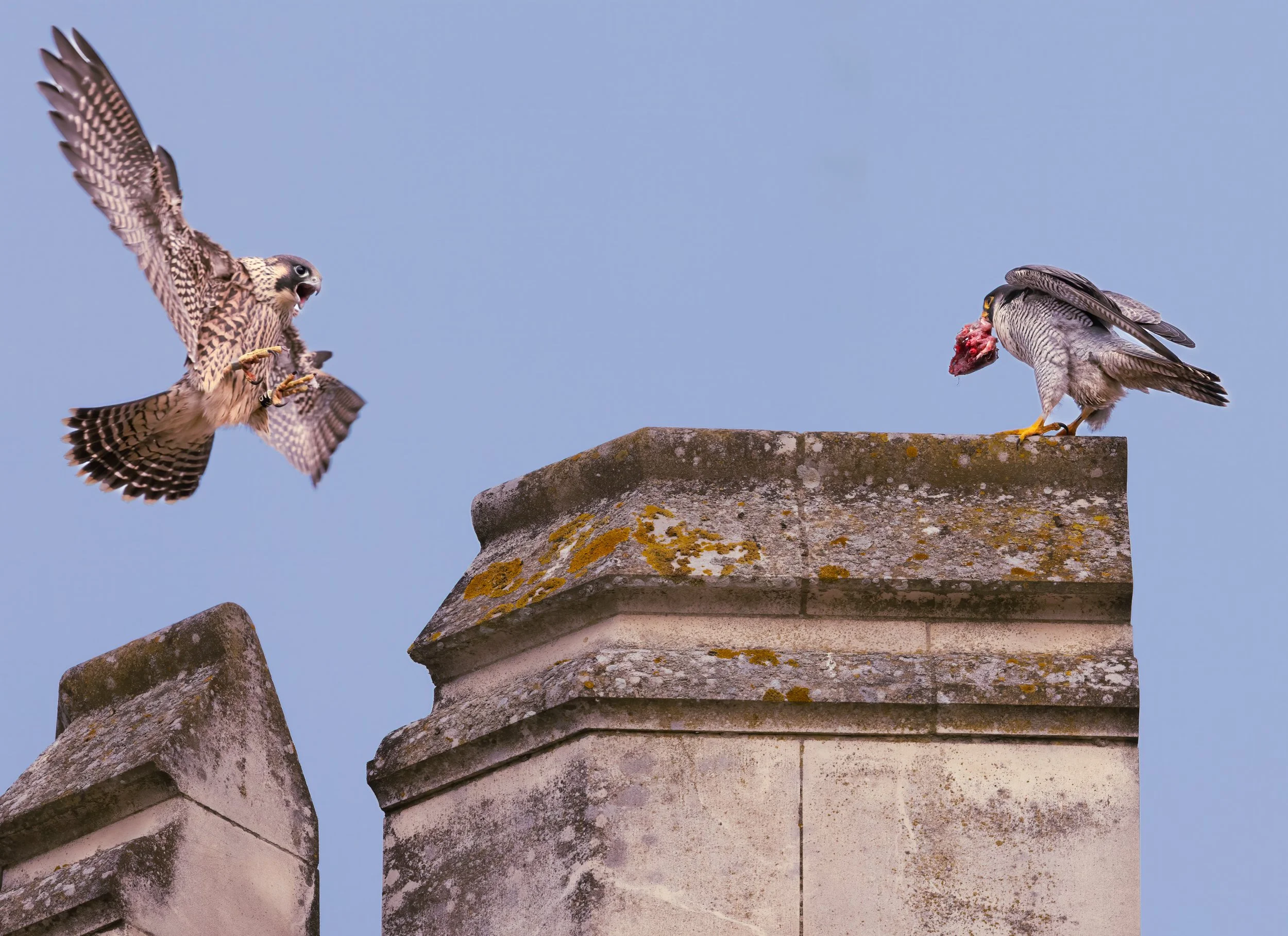 untitled (384 of 810)-Edit2-Edit.jpg