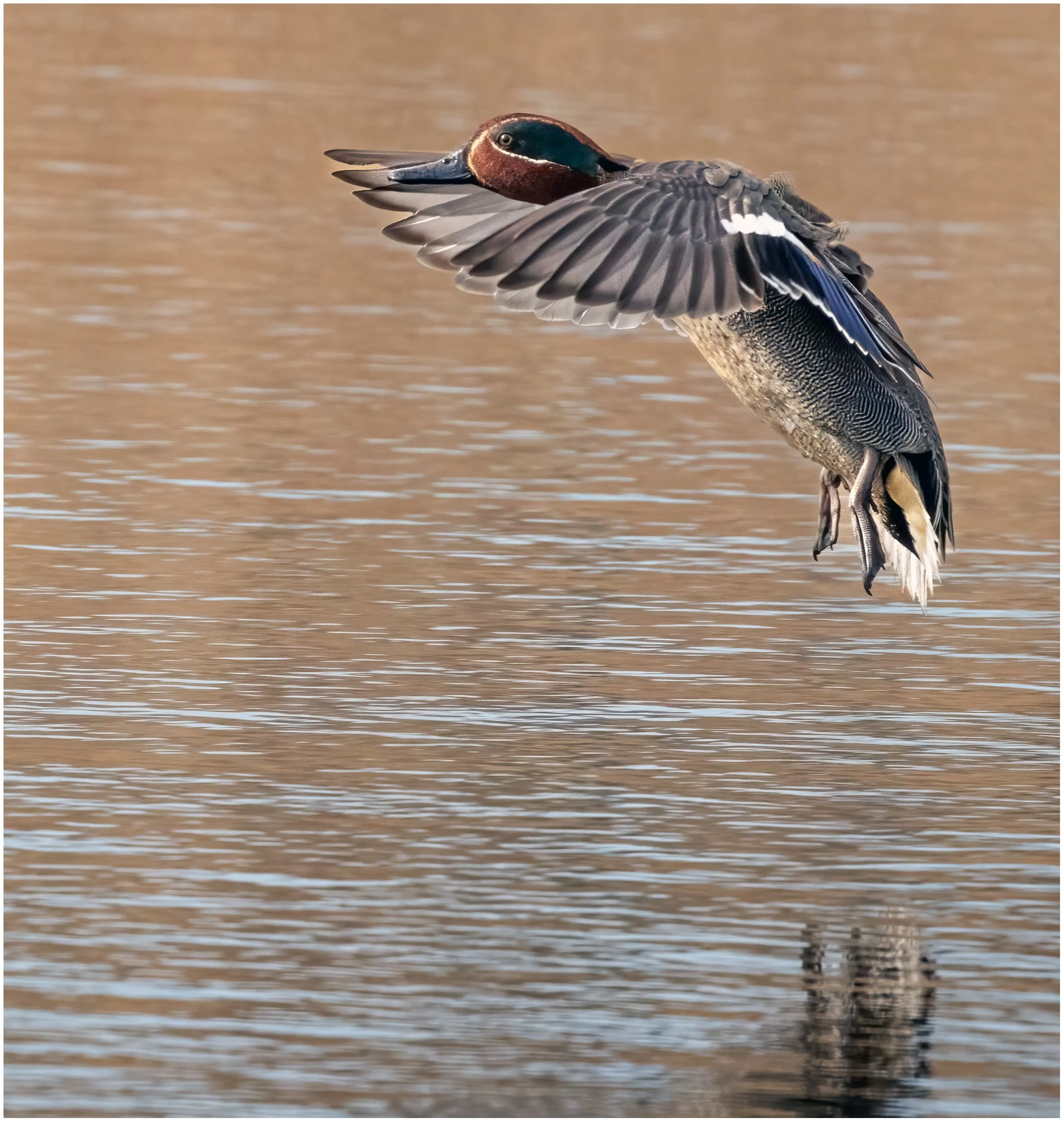 untitled (523 of 658)-Edit-Edit.jpg