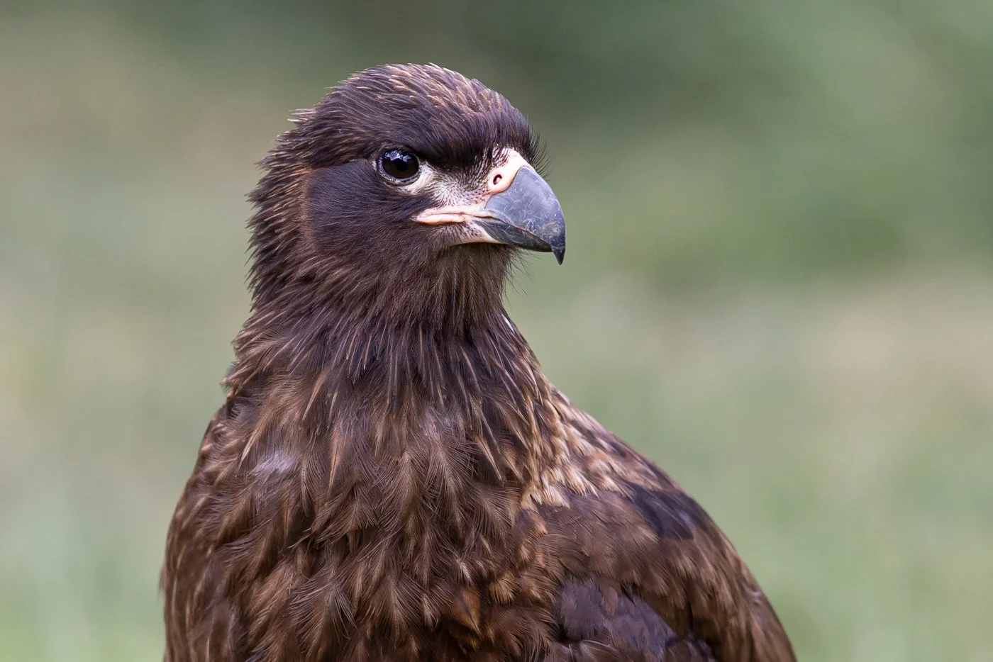 untitled (8 of 348)-Edit.jpg