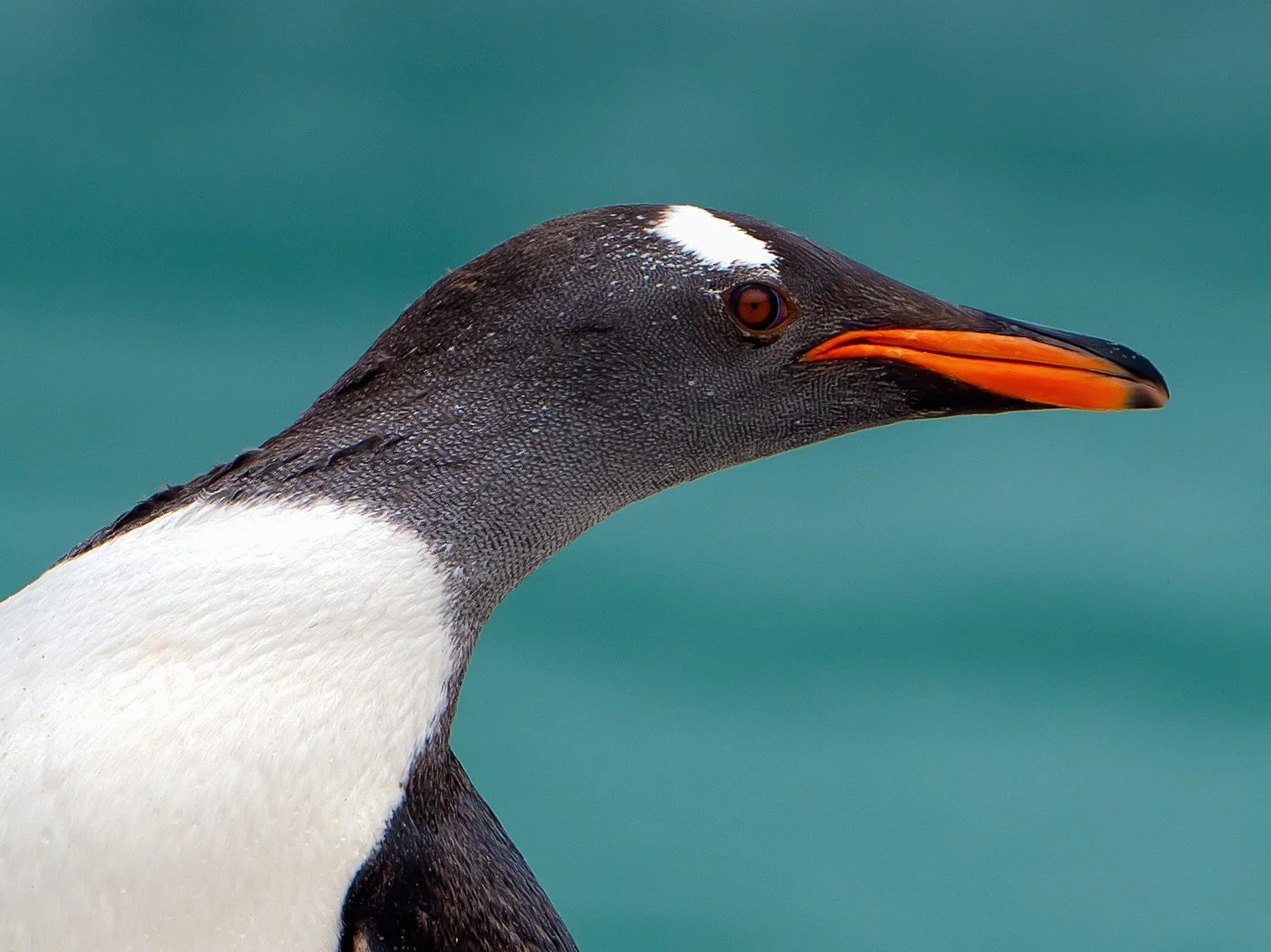 Lumix  3 (436 of 579)-Edit-Edit.jpg