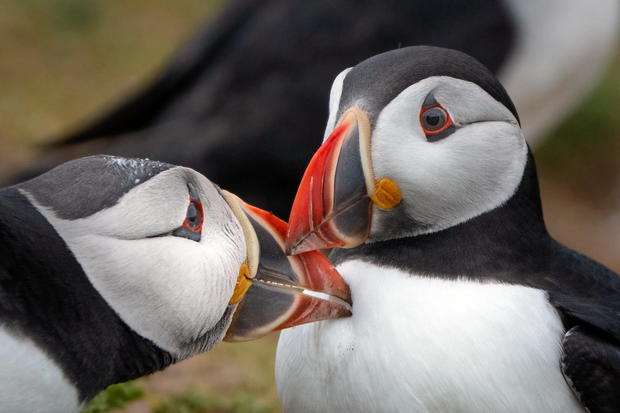 untitled (572 of 1928)-2.jpg