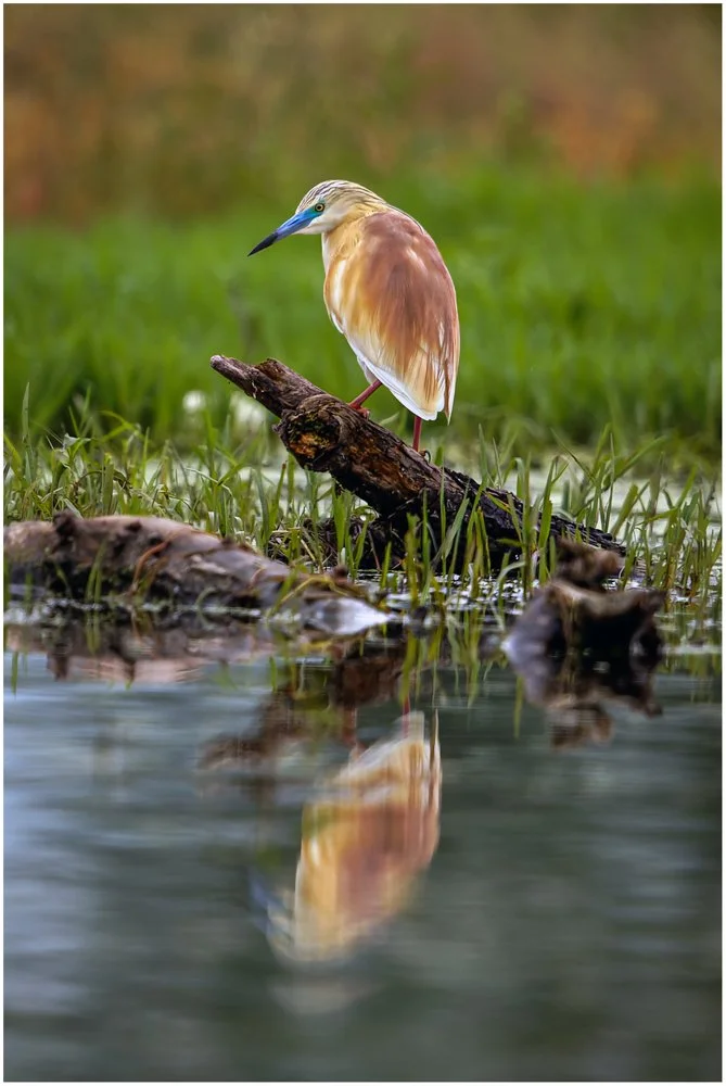 untitled (1752 of 2162)-CR3-Edit.jpg