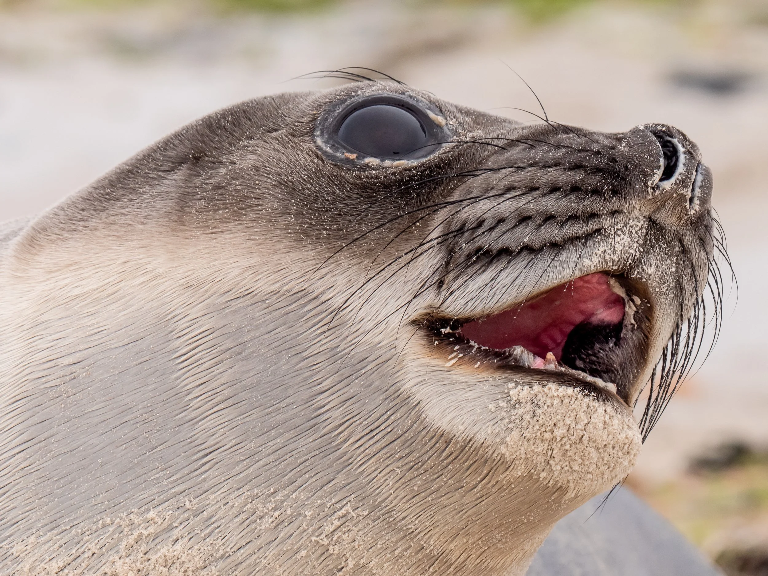 Lumix  3 (279 of 579).jpg