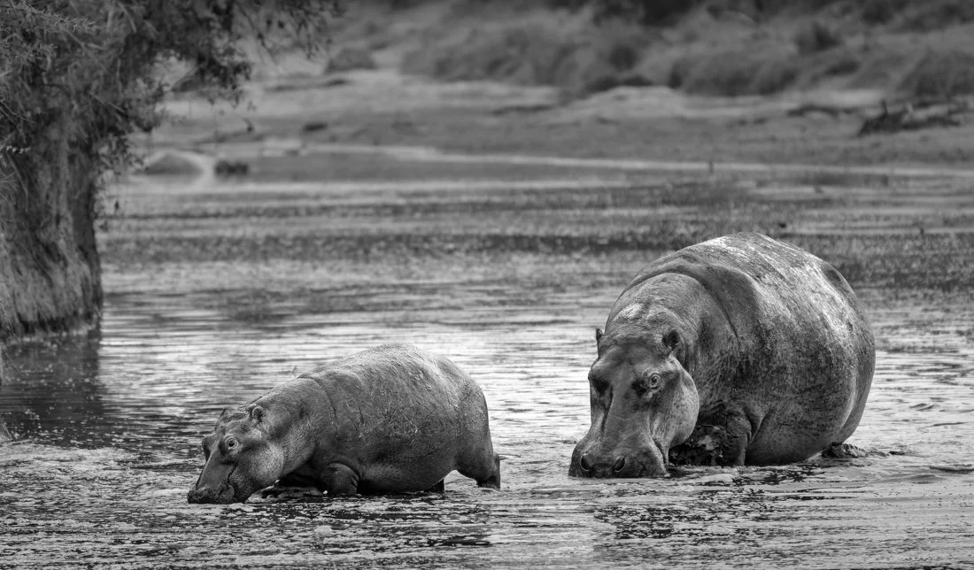 untitled (6351 of 6546)-RW2_DxO_DeepPRIME-Edit-Edit.jpg