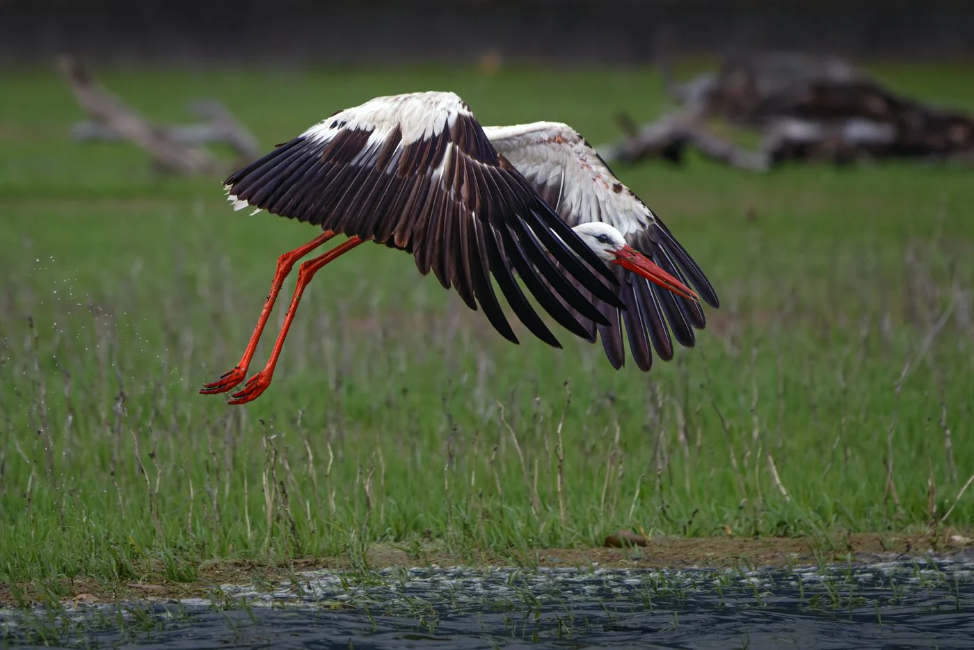 untitled (471 of 2162)-CR3-Edit.jpg