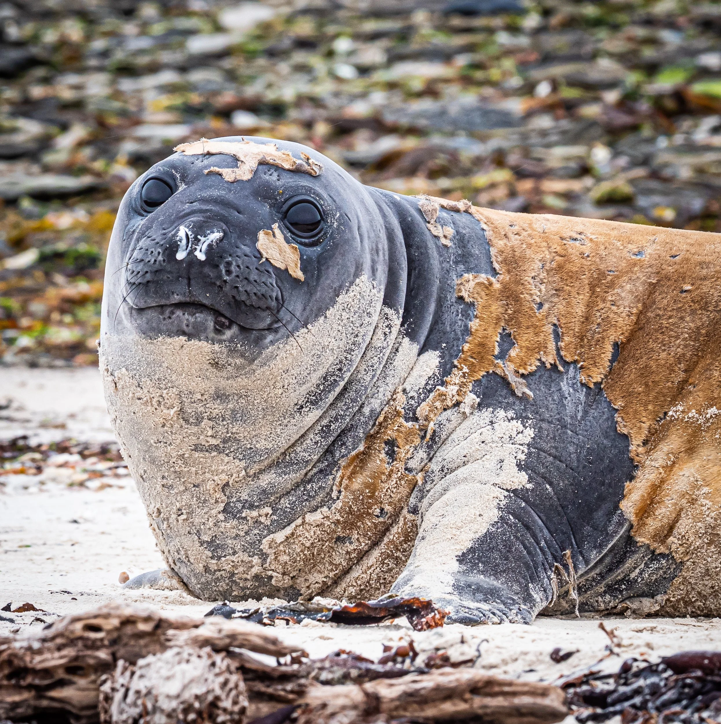 Lumix  3 (191 of 579)-2.jpg