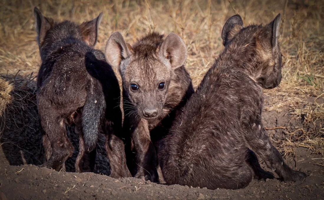 untitled (404 of 6546)-Edit-Edit.jpg