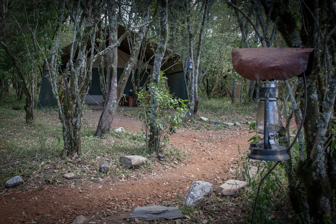 Massai Mara, Kenya  2011 16-3.jpg