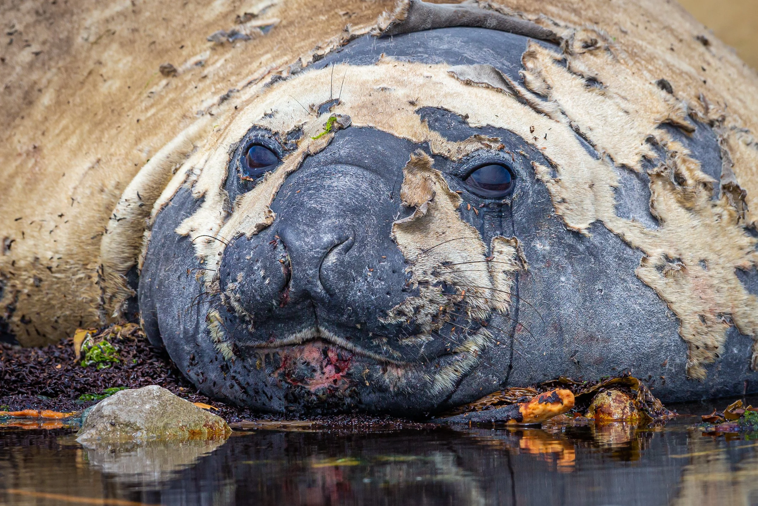 untitled (196 of 348).jpg