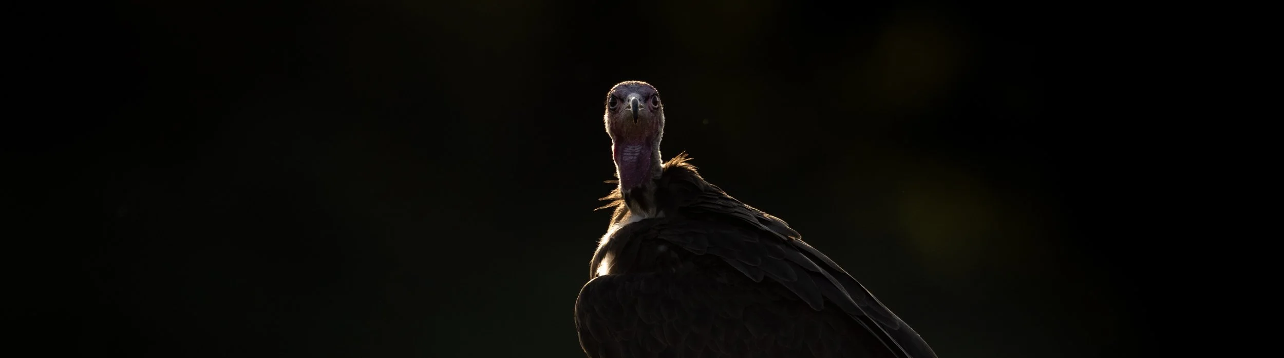 untitled (3376 of 5037)-Edit-Edit.jpg