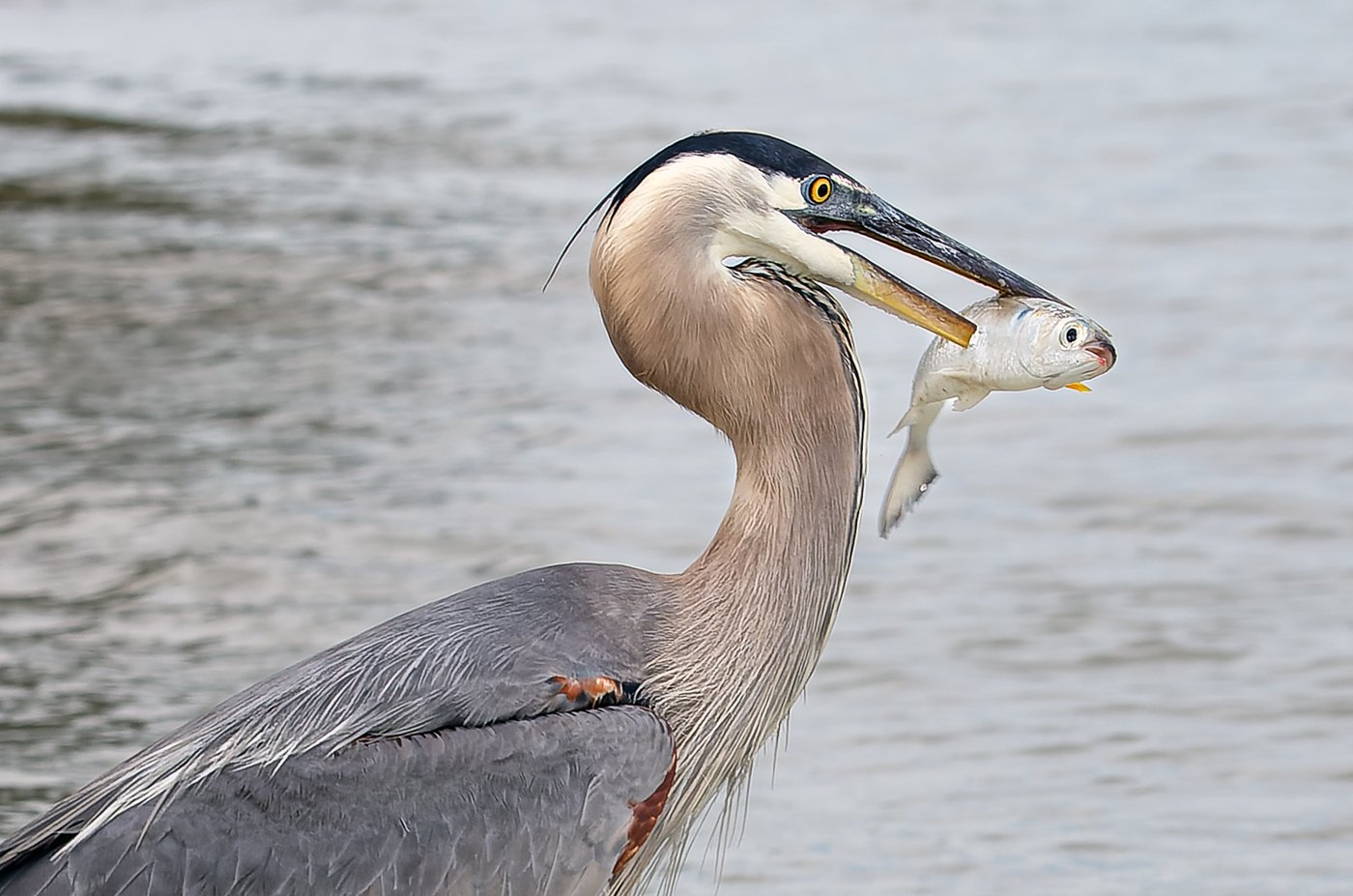 Florida Vacation (6254 of 7111)-CR2-Edit.jpg