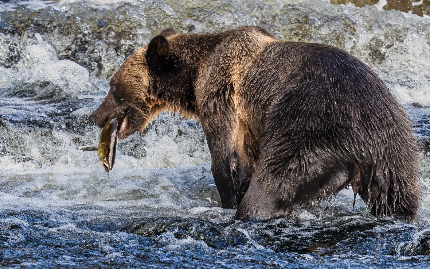 untitled (27 of 870)-Edit-Edit.jpg