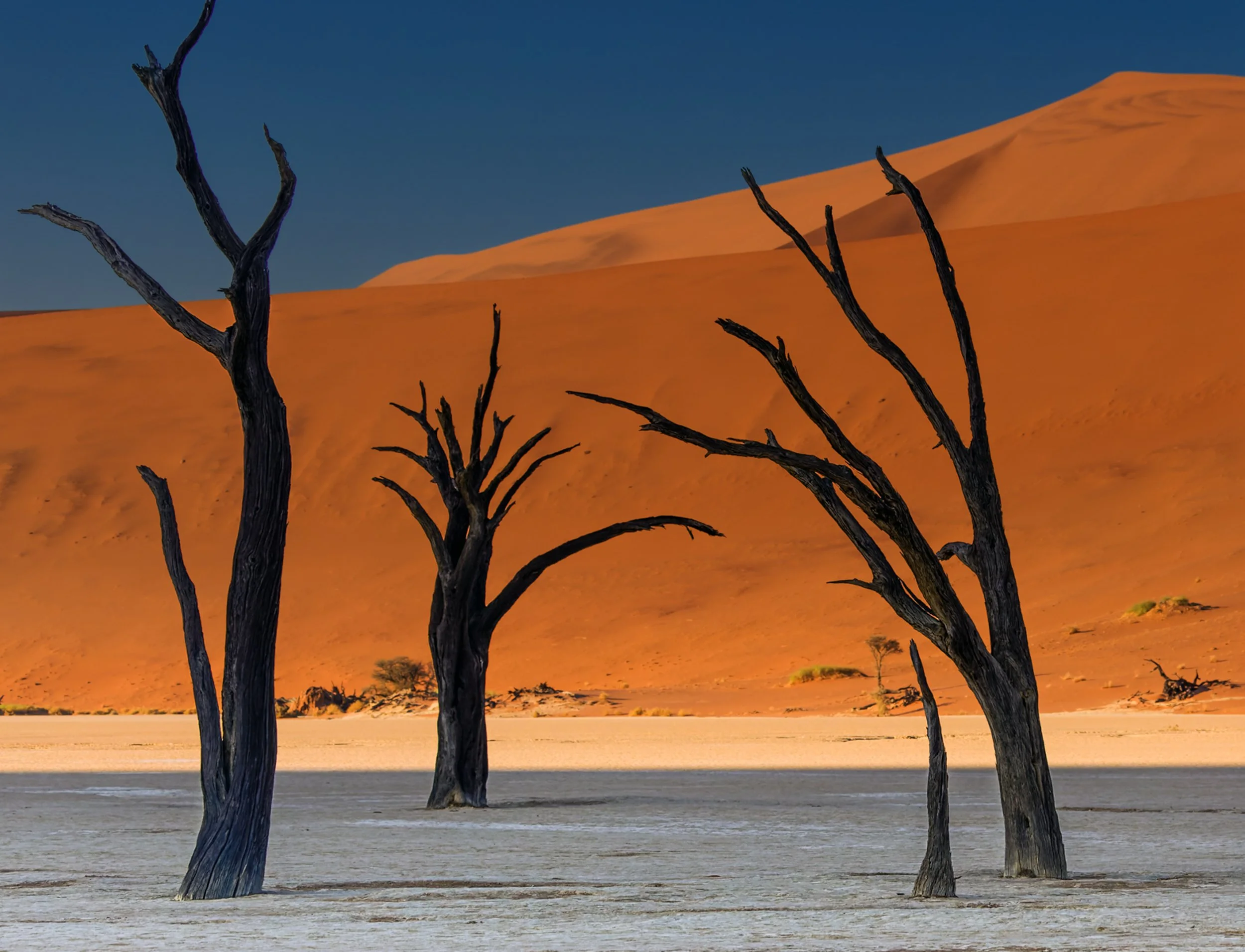 untitled (2 of 5).jpg