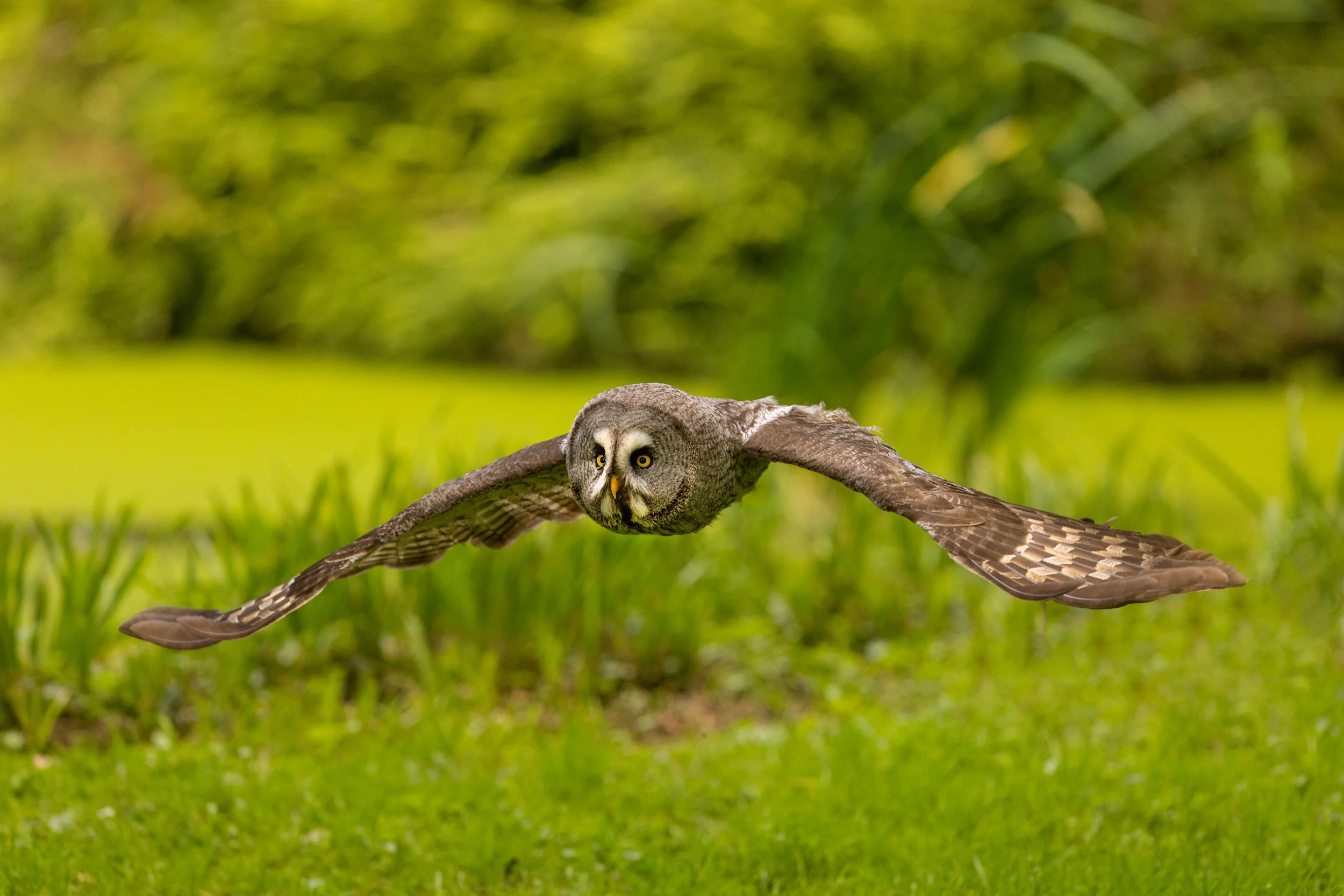 untitled (795 of 5037)-Edit.jpg