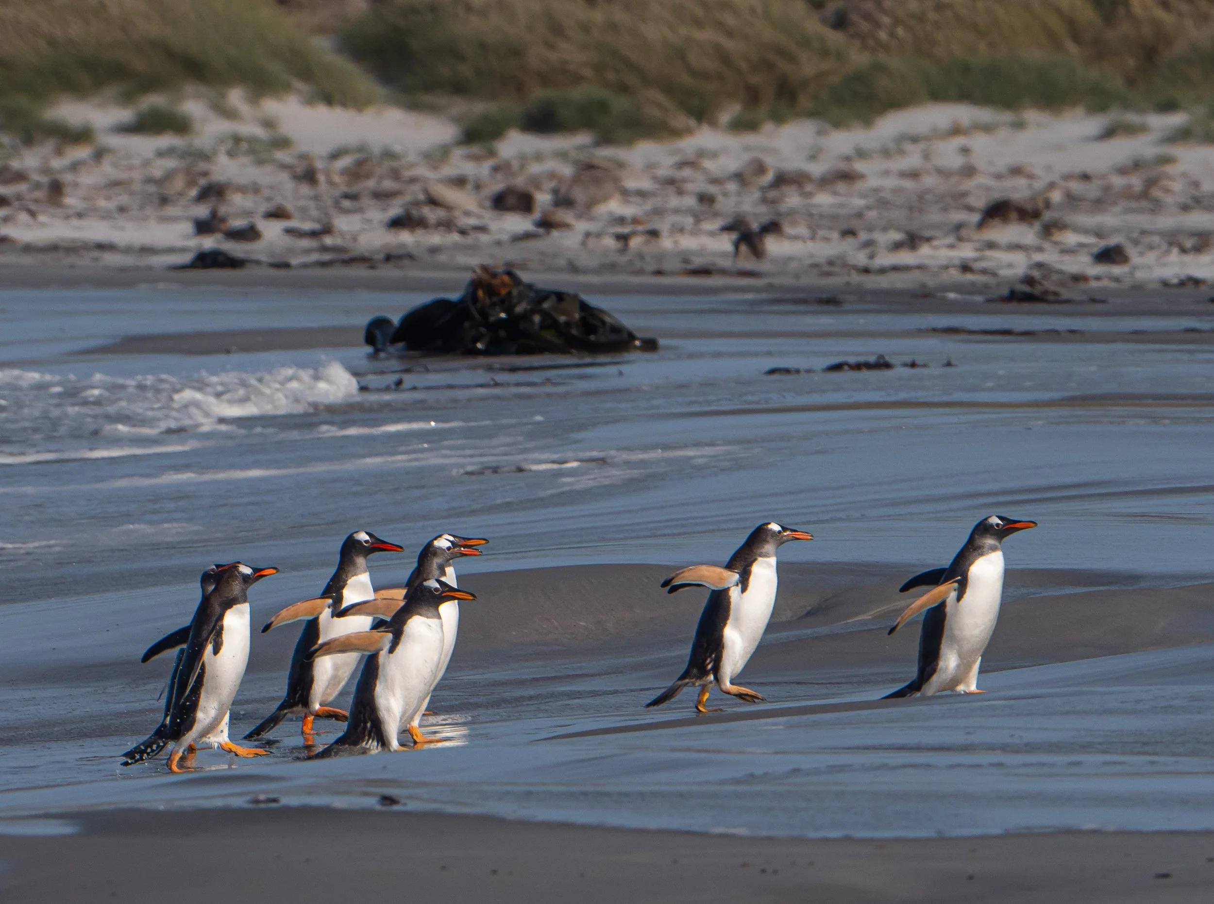 Lumix  4 (410 of 712).jpg