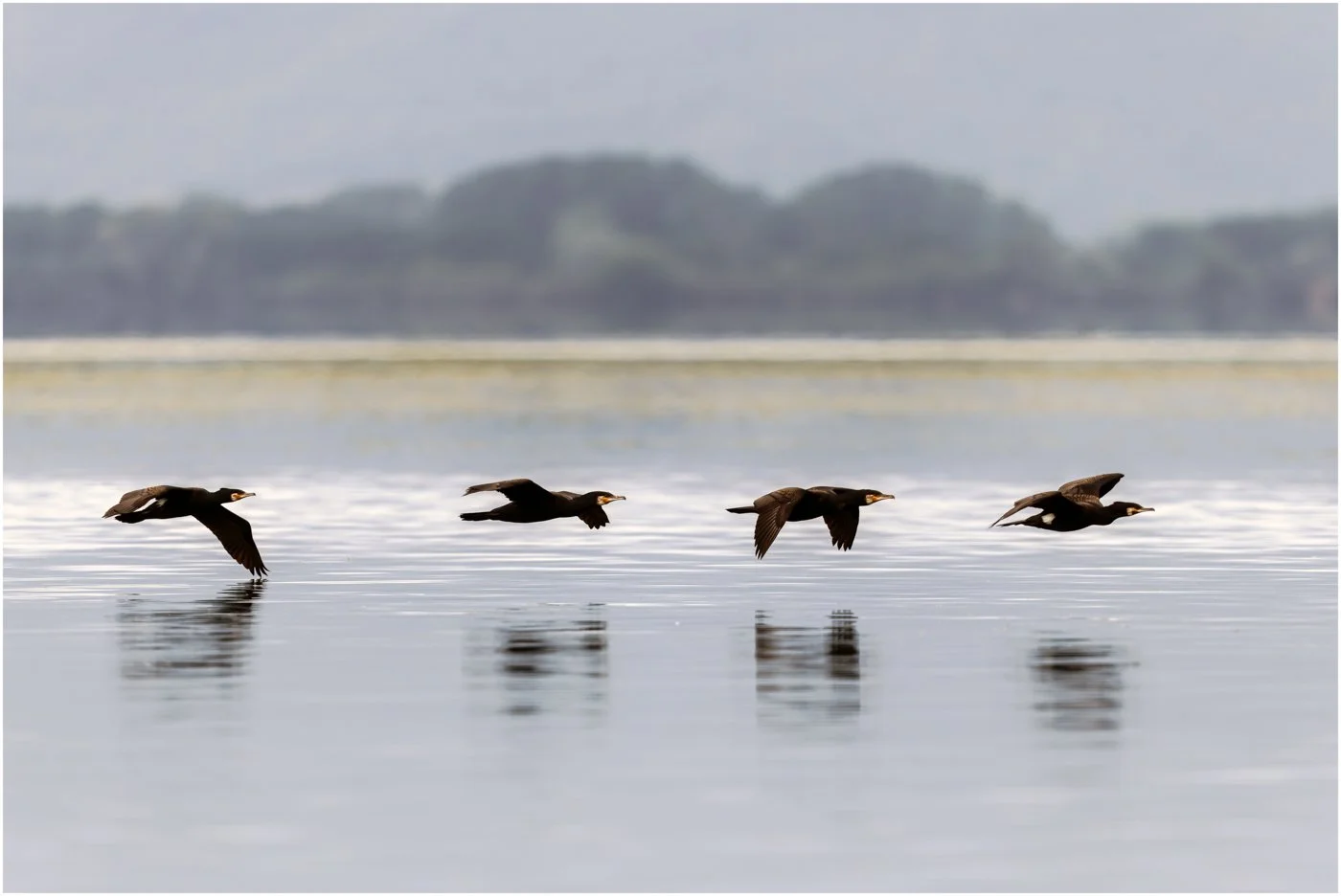 untitled (1927 of 2162)-CR3-Edit.jpg