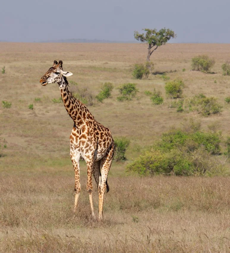 untitled (3870 of 6546)-DxO_DeepPRIME XD2s.jpg