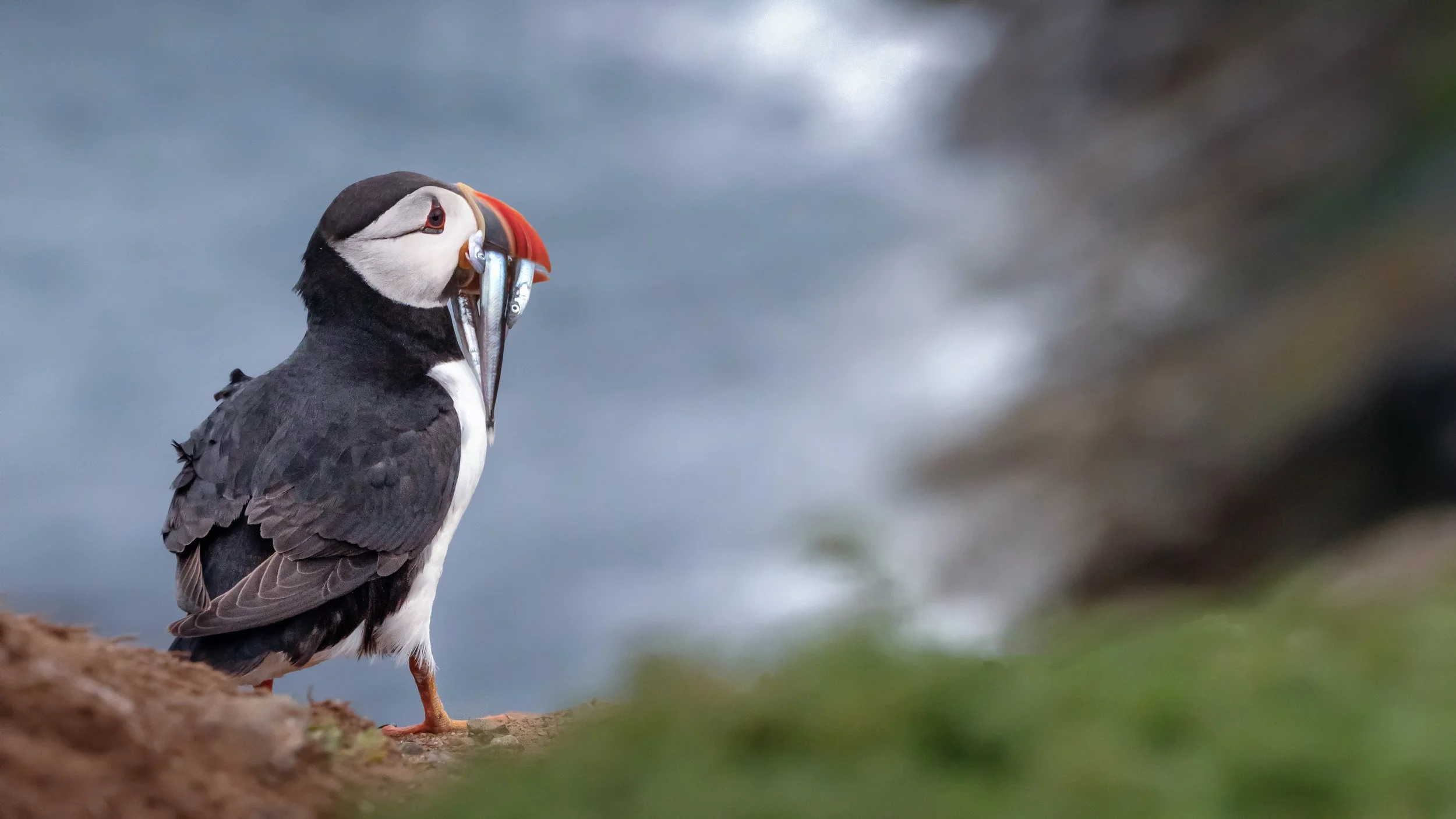 untitled (572 of 1928).jpg