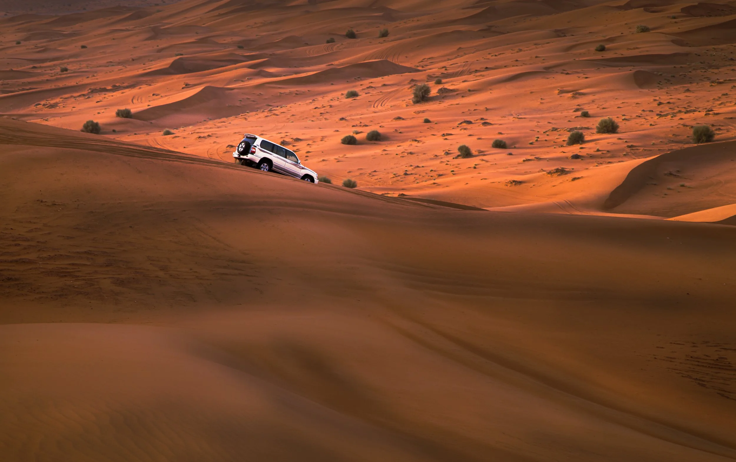 Sand Dunes Safari  10   May 12, 2009-Edit.jpg