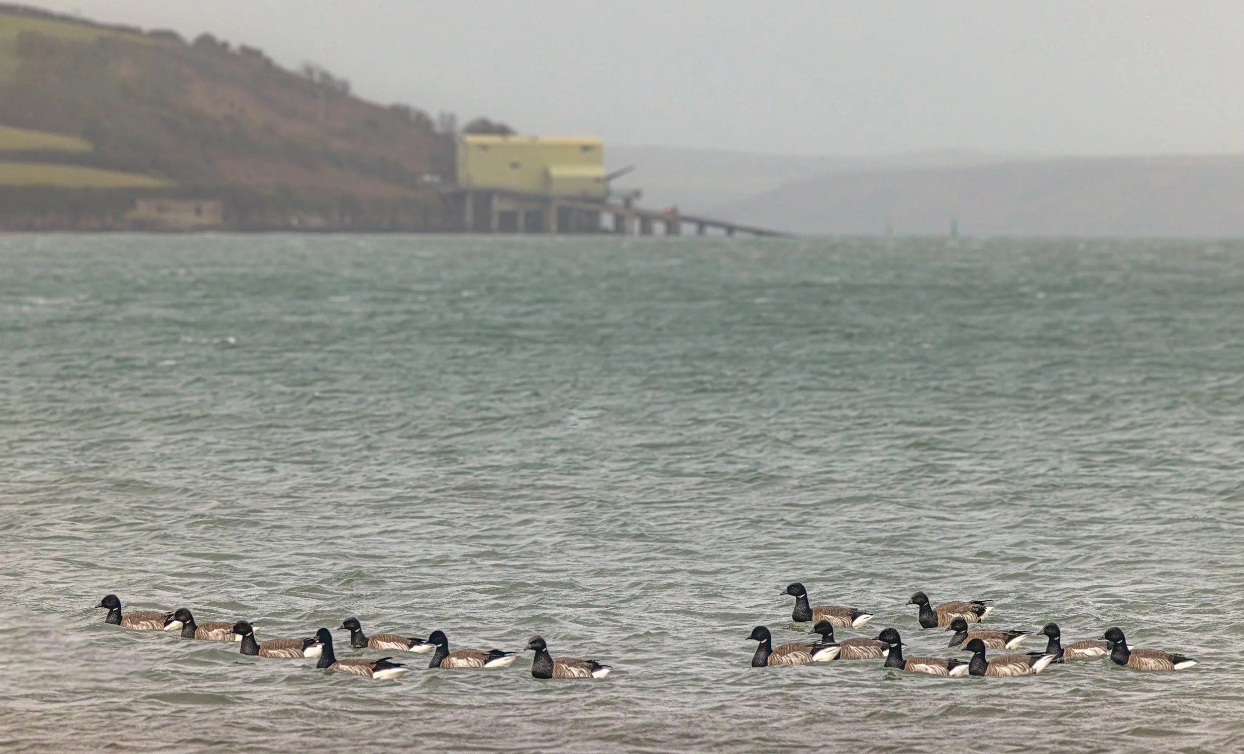 untitled (64 of 147)-Edit-Edit2-Edit.jpg