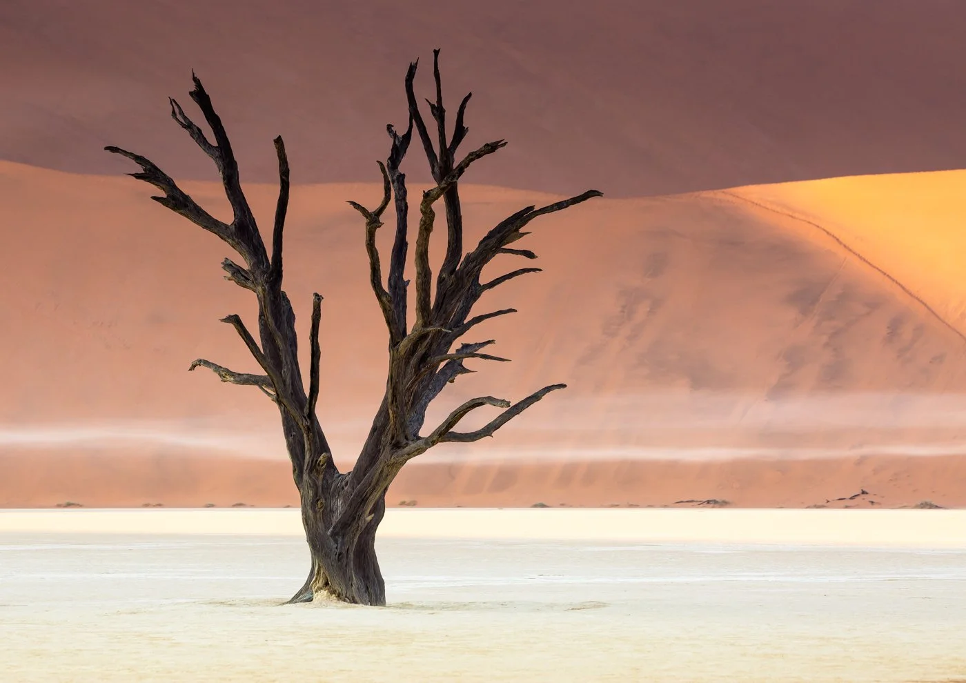 Namibia 1 (128 of 286)-Edit2.jpg