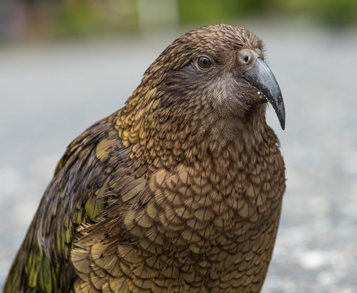 untitled (1518 of 2838).jpg