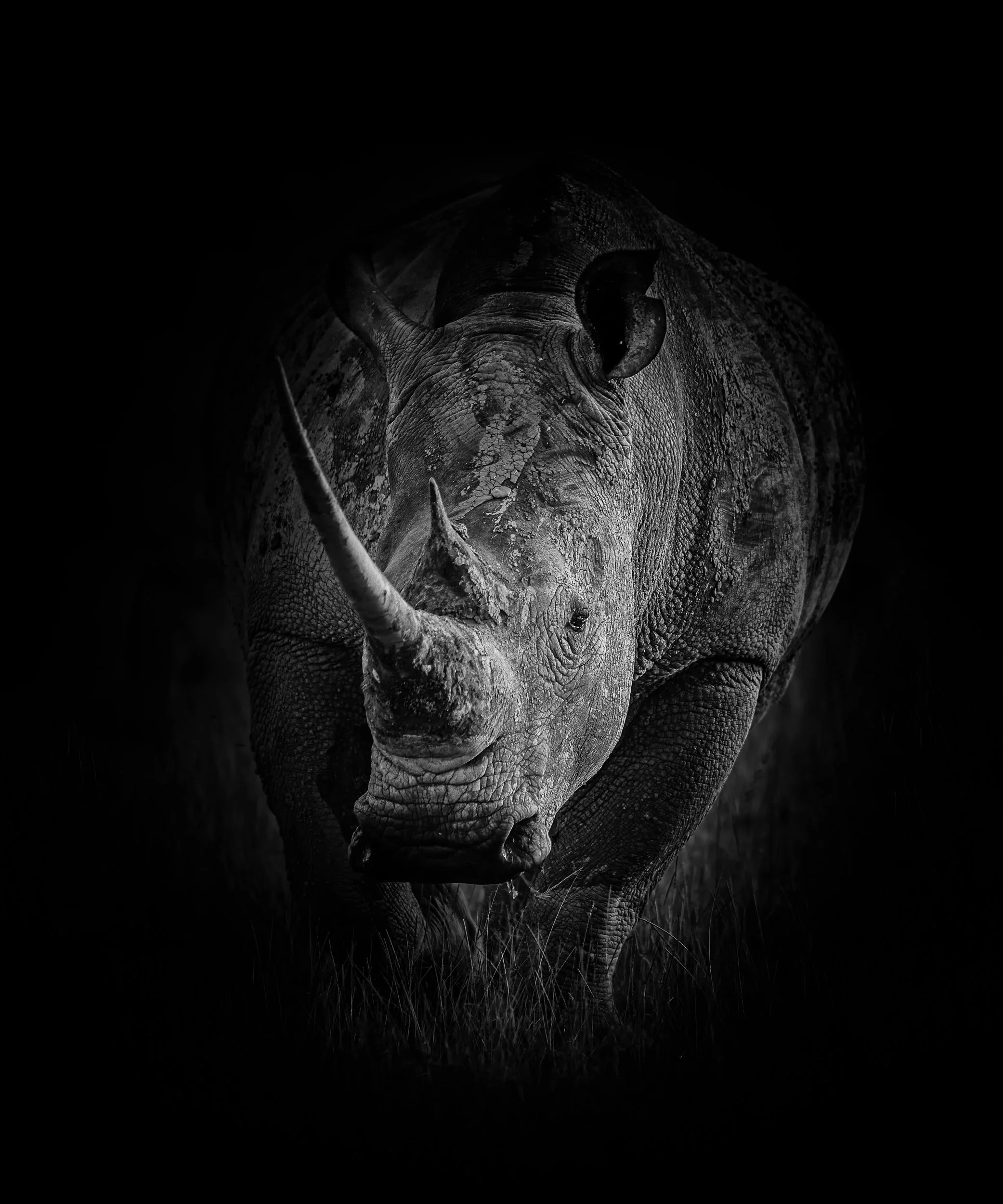 Lake Nukuru, Kenya  2011 13-1276-Edit-Edit-Edit-Edit.jpg