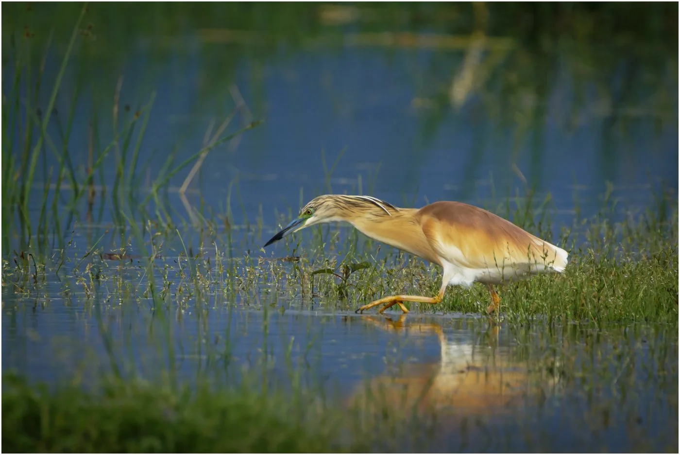 untitled (191 of 1865)-CR3-Edit.jpg