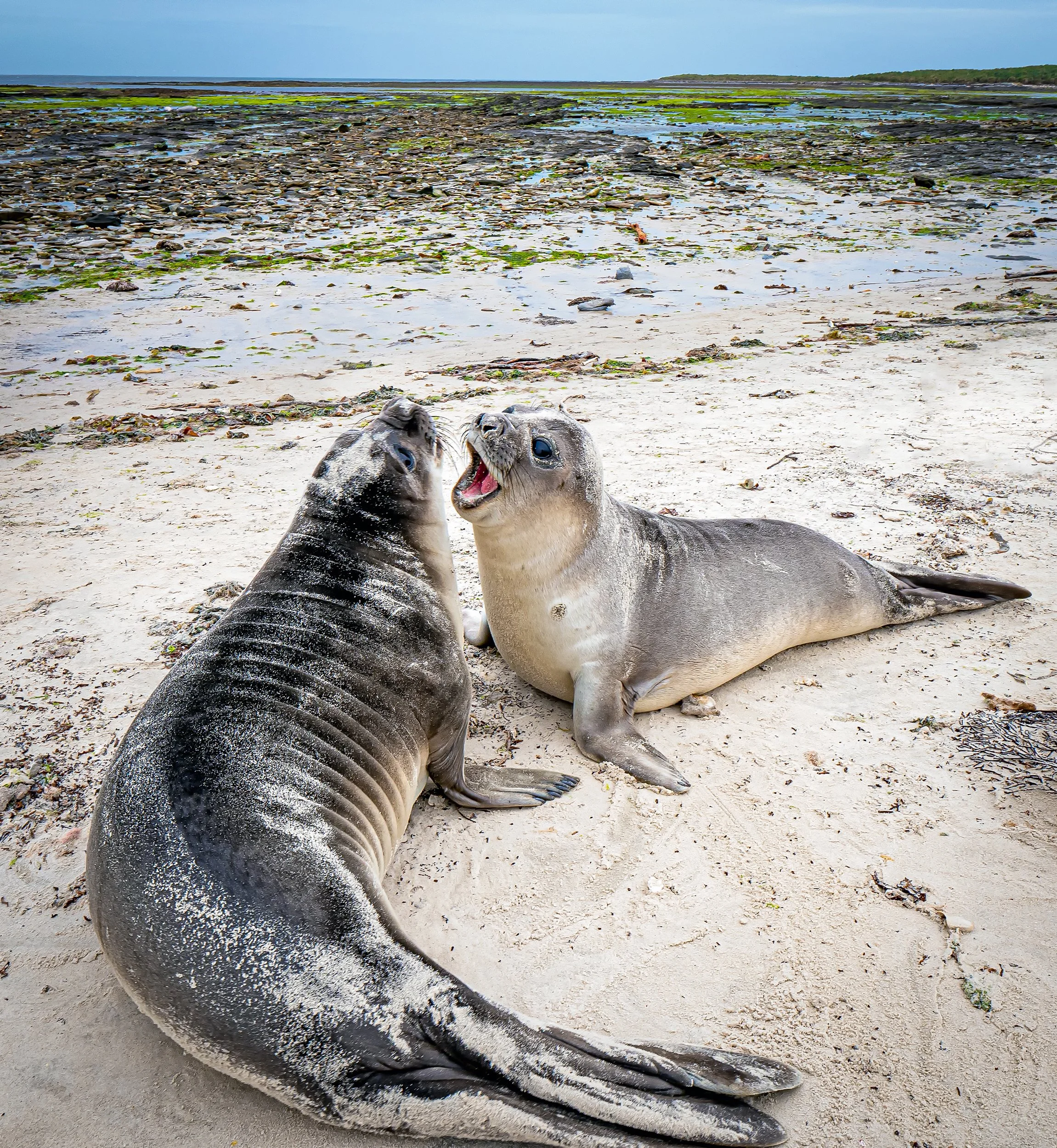 Lumix  3 (330 of 579)-Edit-Edit.jpg