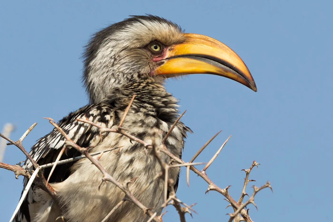 Namibia 13 (207 of 235).jpg