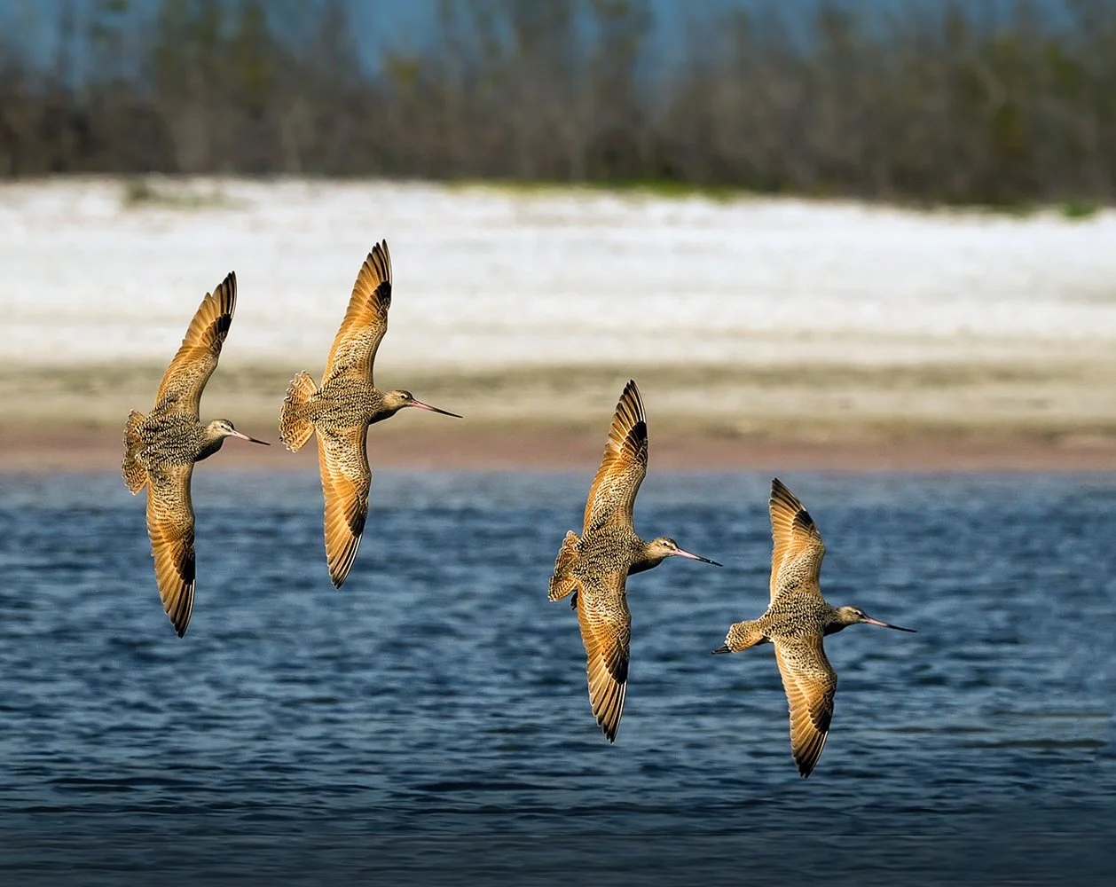 untitled (1 of 17807).jpg