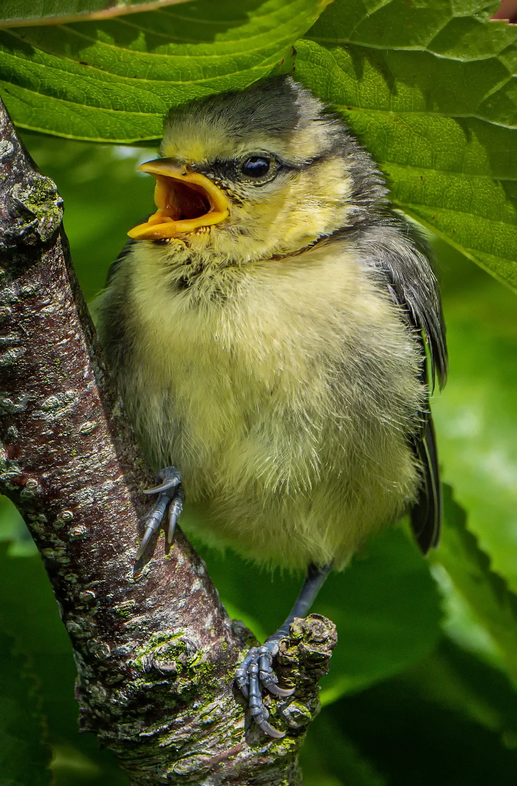 untitled (382 of 448)-Edit-Edit.jpg