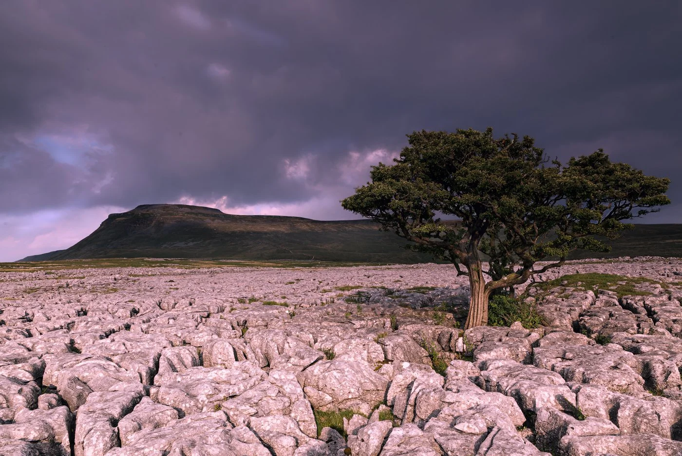 Caravan Hol Aug 2010   143-CR2-Edit2.jpg