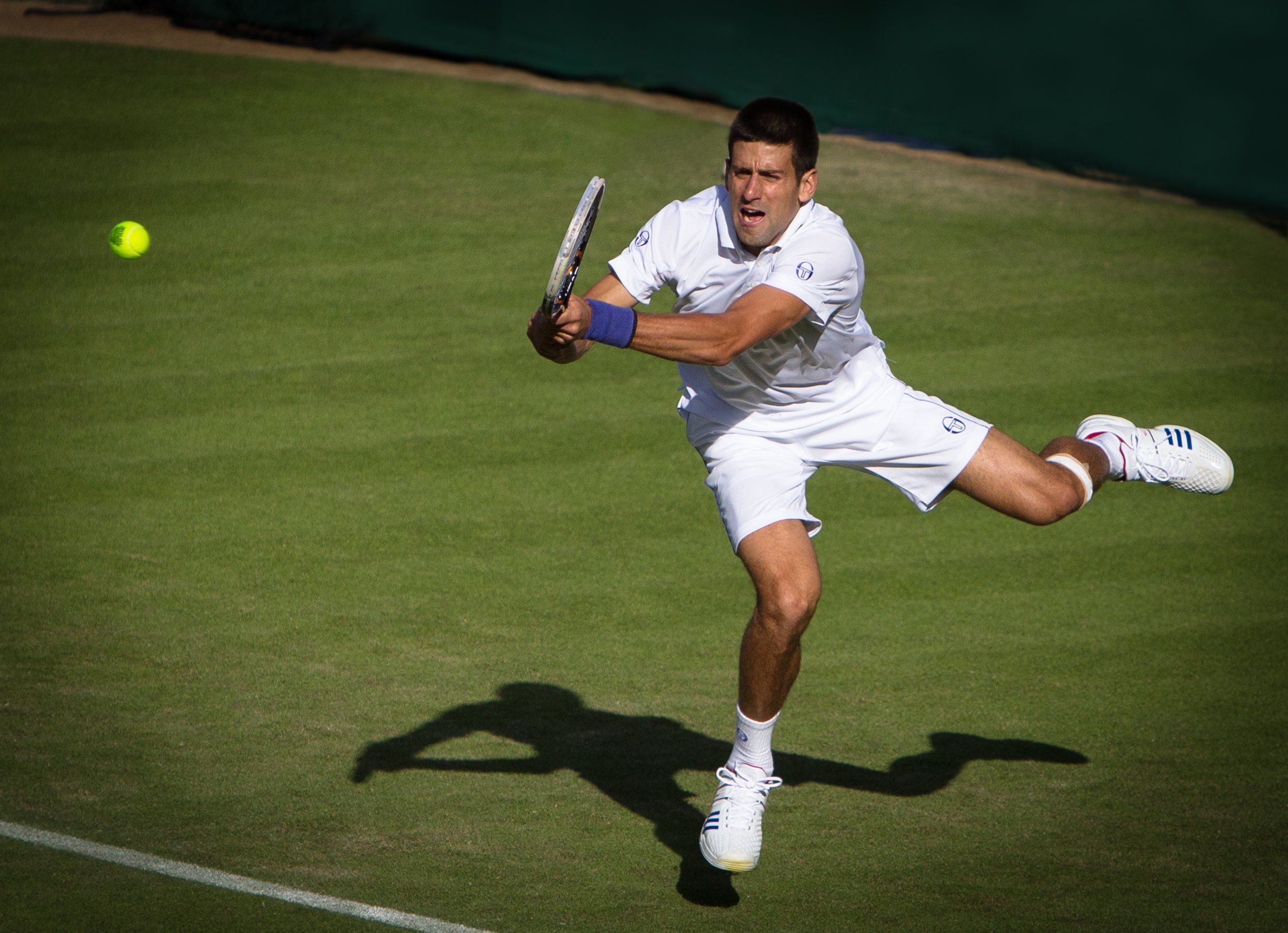 Wimbledon 2011  216.jpg
