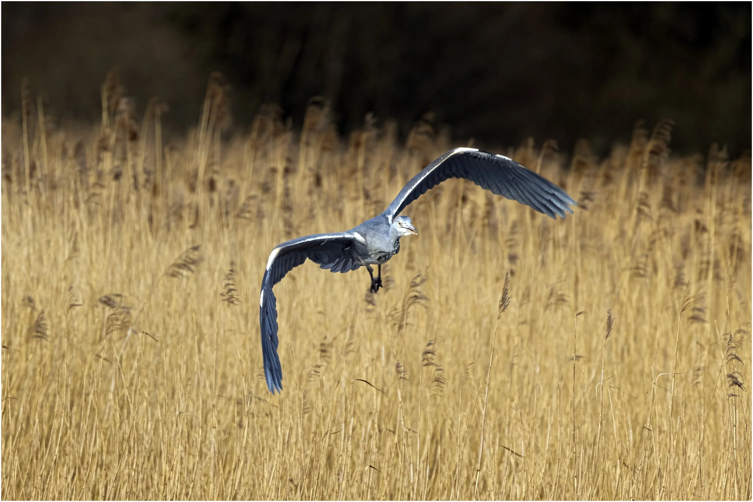 untitled (402 of 658)-Edit-Edit.jpg