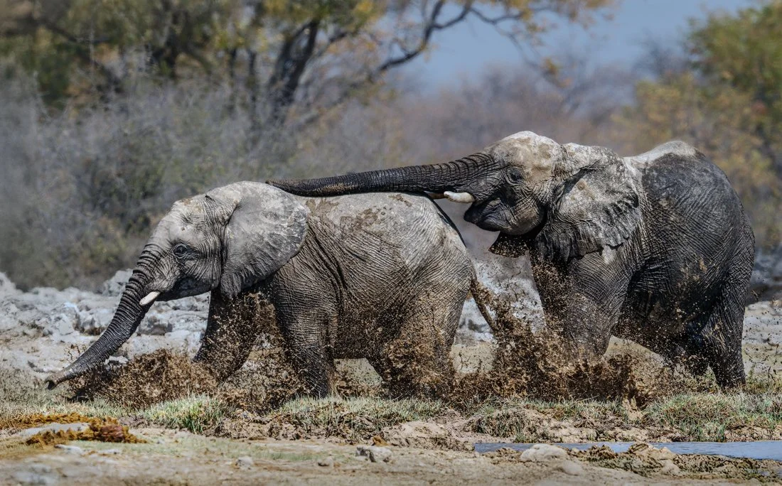 Namibia 19 (524 of 534)-CR2 edit3-Edit.jpg