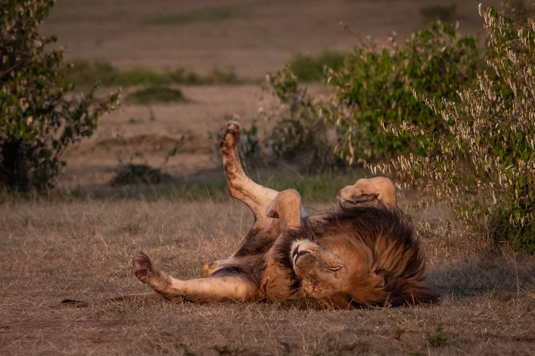 untitled (576 of 6546).jpg