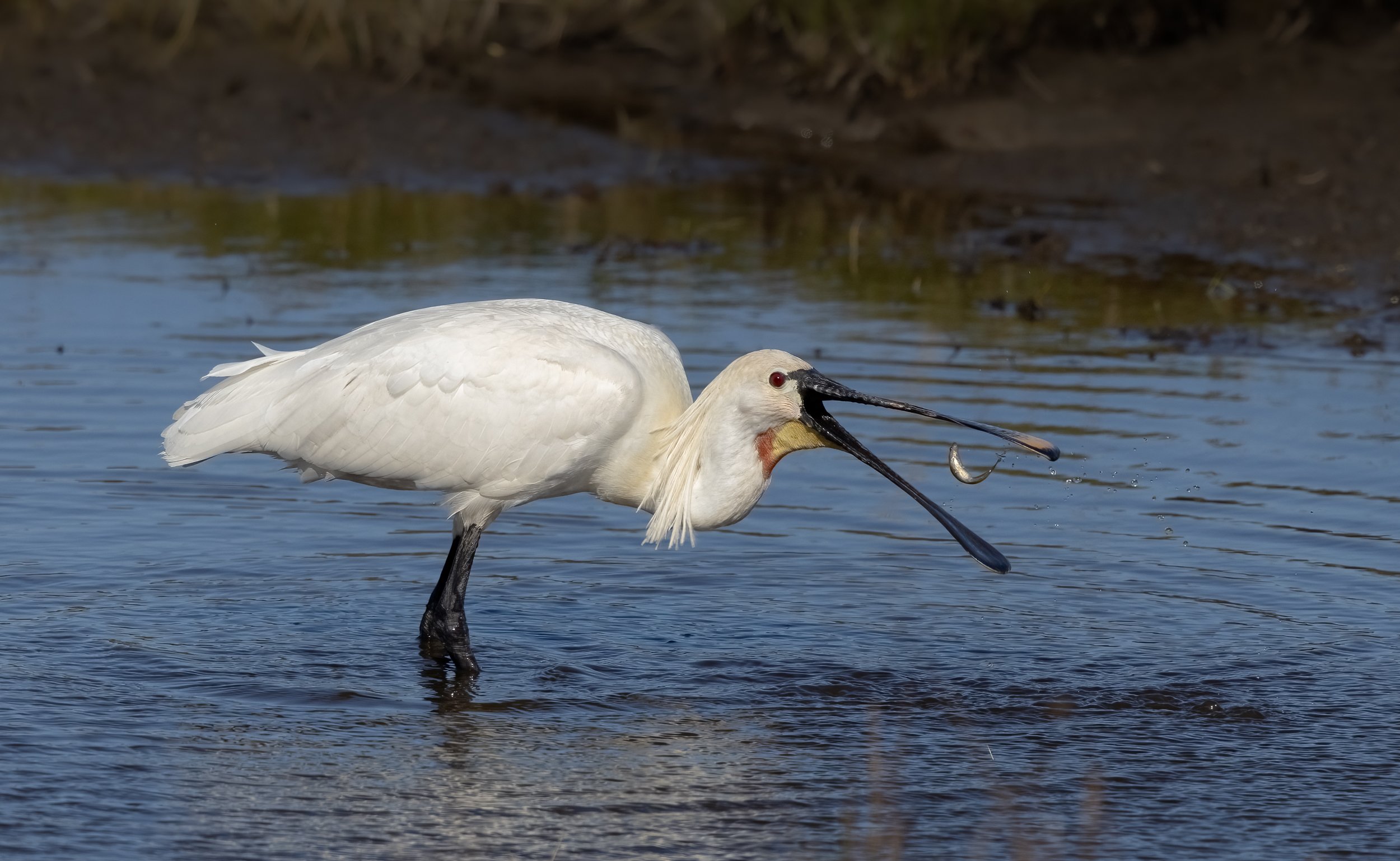 untitled (818 of 2229)-Edit-Edit.jpg