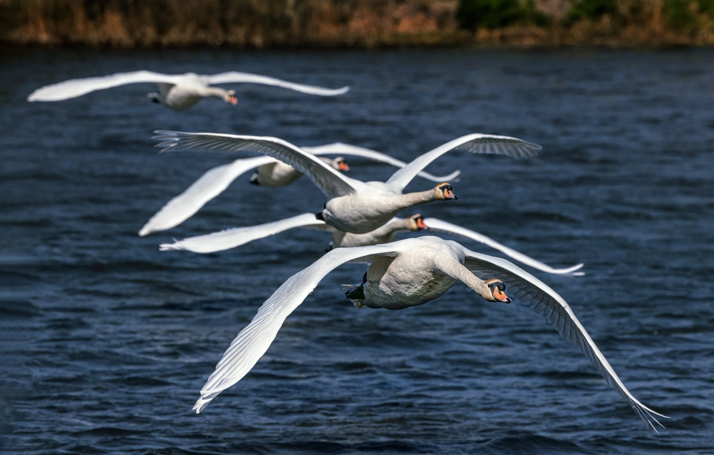 untitled (669 of 791)-Edit-Edit2.jpg