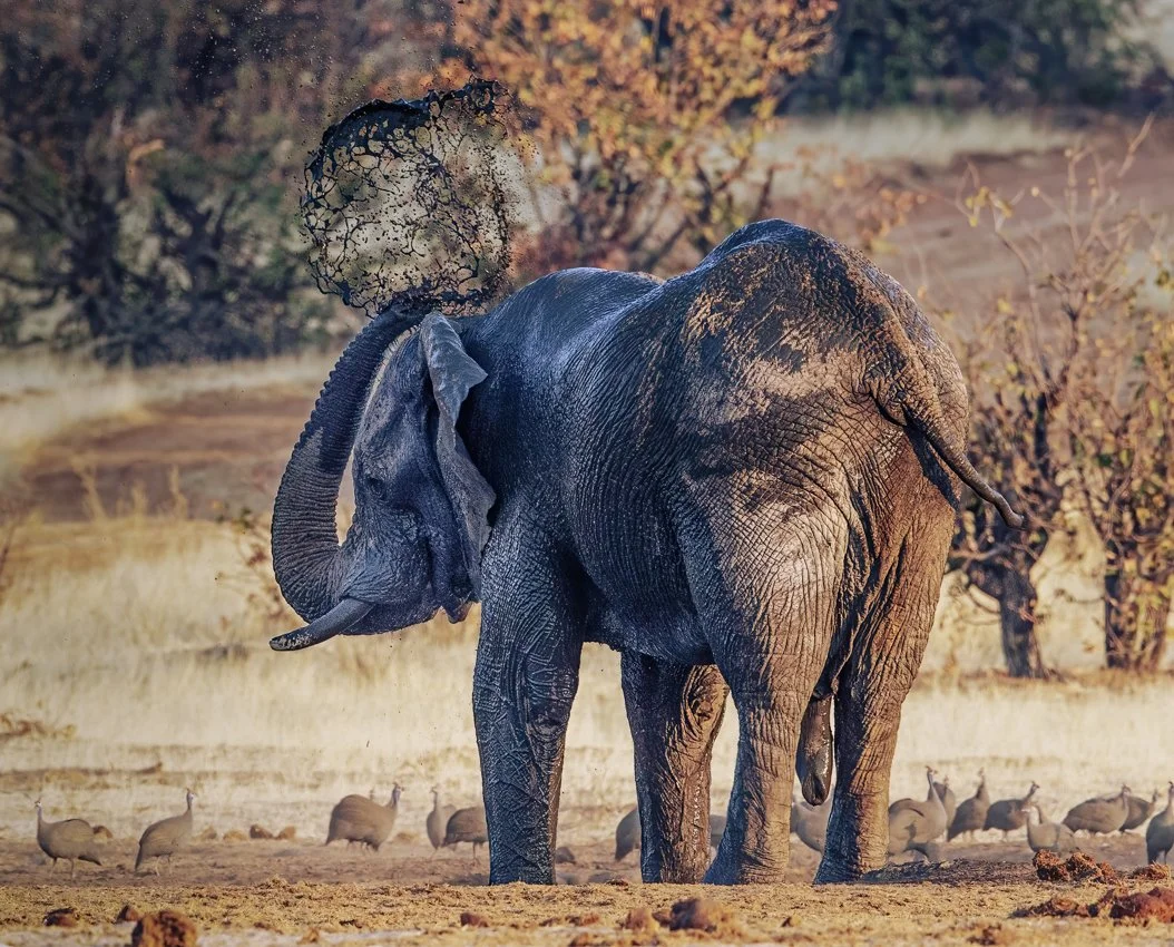 Namibia 17 (386 of 879)-Edit-2-Edit.jpg