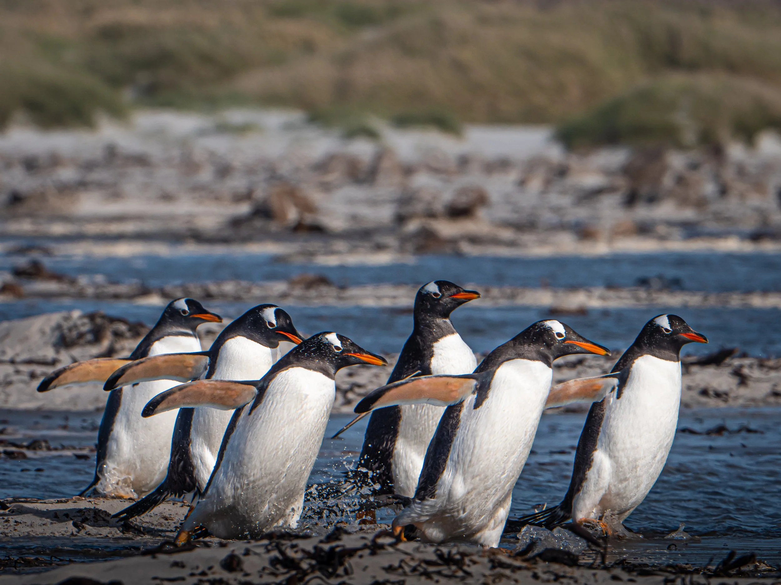 Lumix  4 (572 of 712).jpg