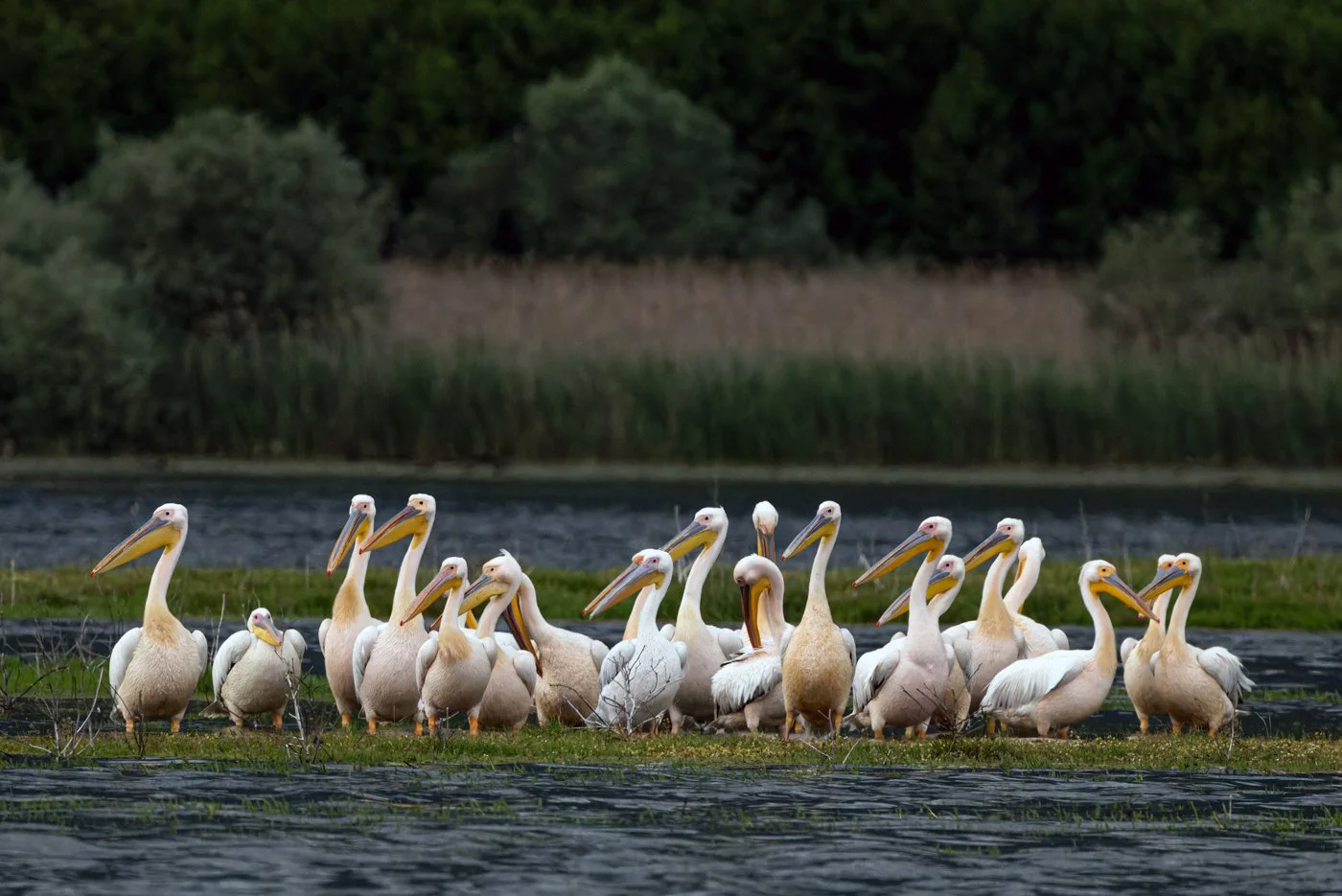 untitled (587 of 2162)-CR3-Edit.jpg