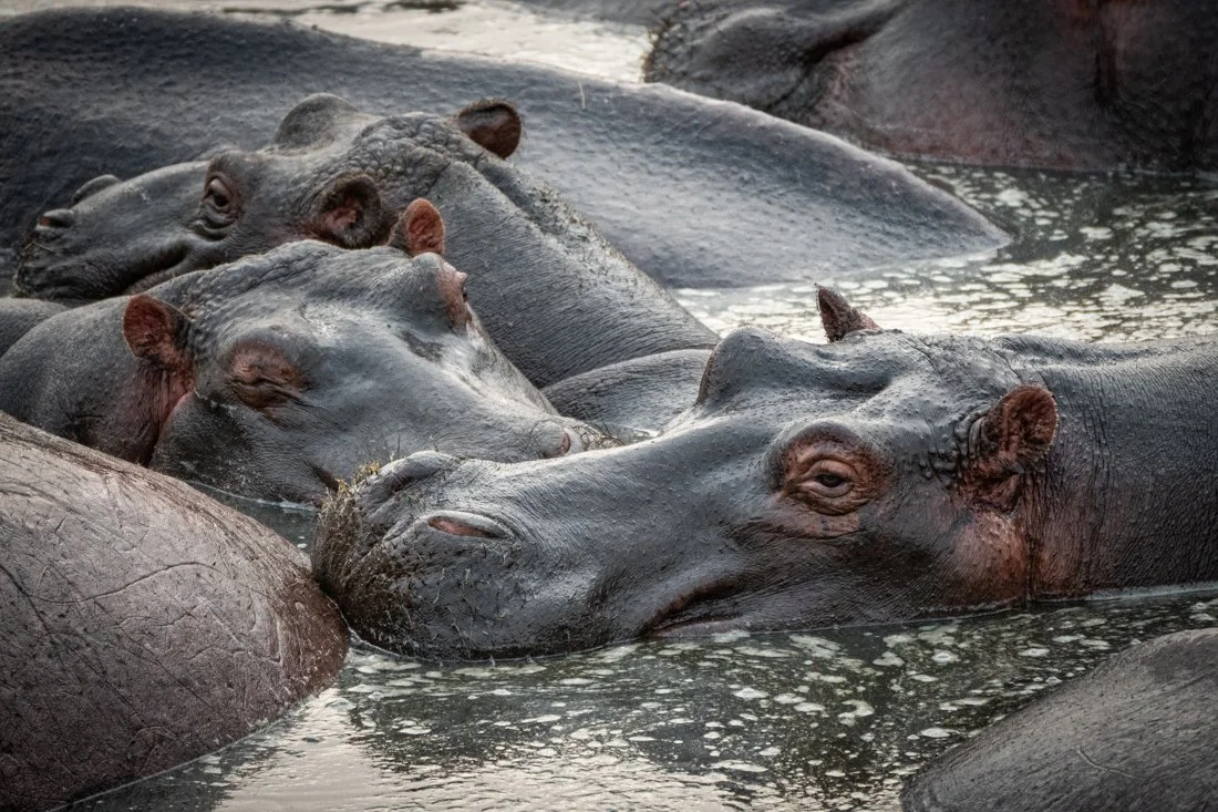 untitled (6405 of 6546).jpg