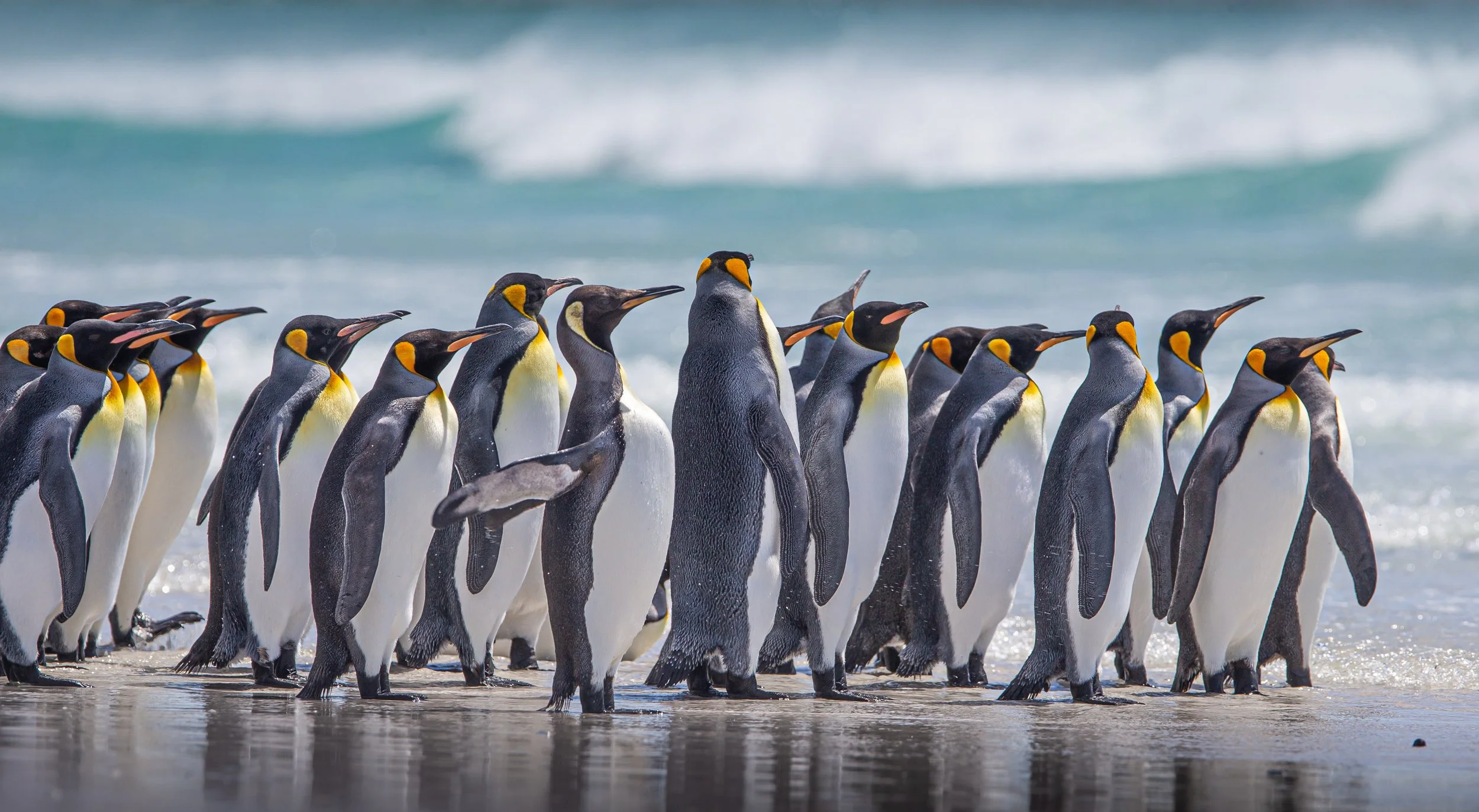 untitled (92 of 1340).jpg